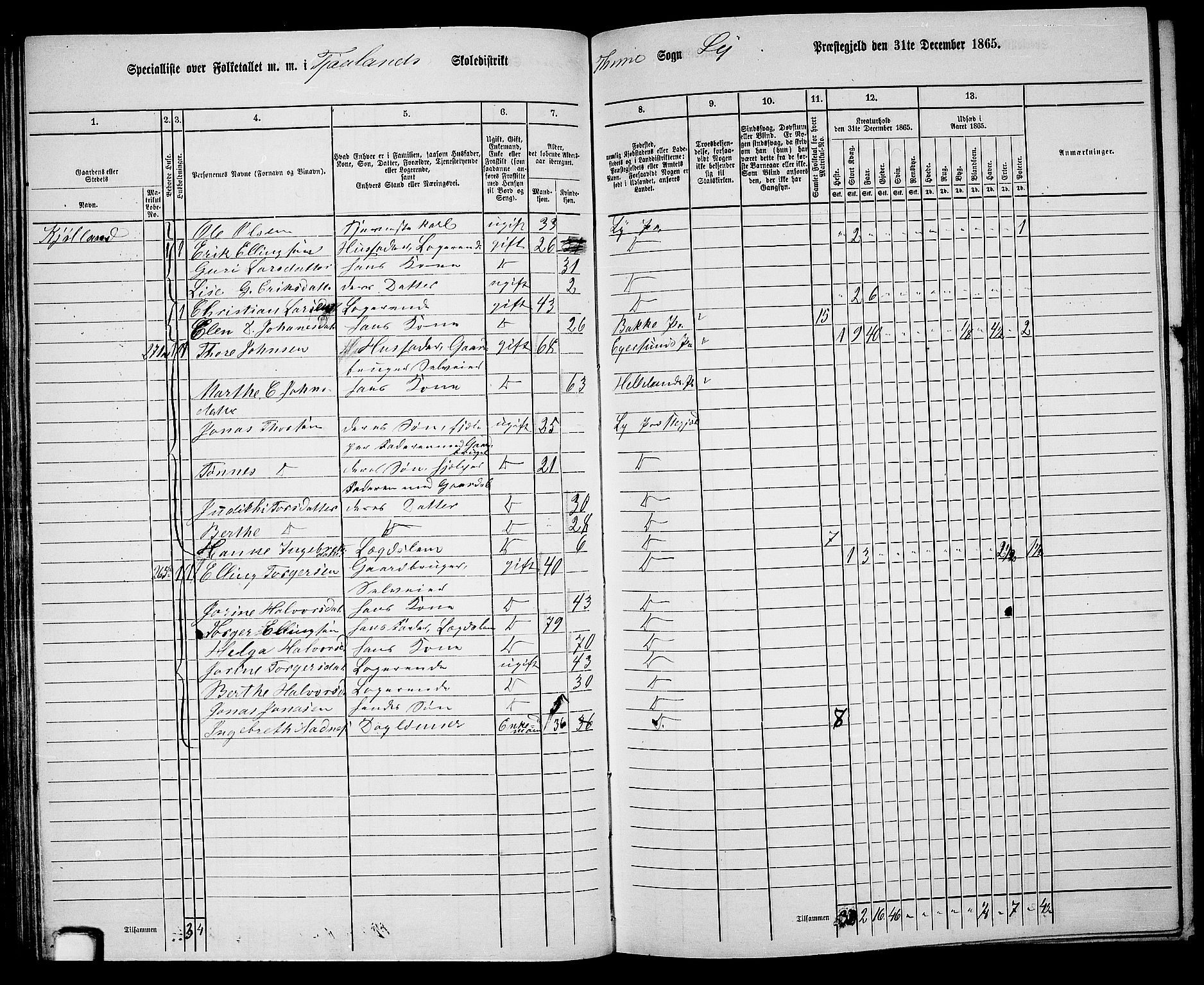 RA, 1865 census for Lye, 1865, p. 77