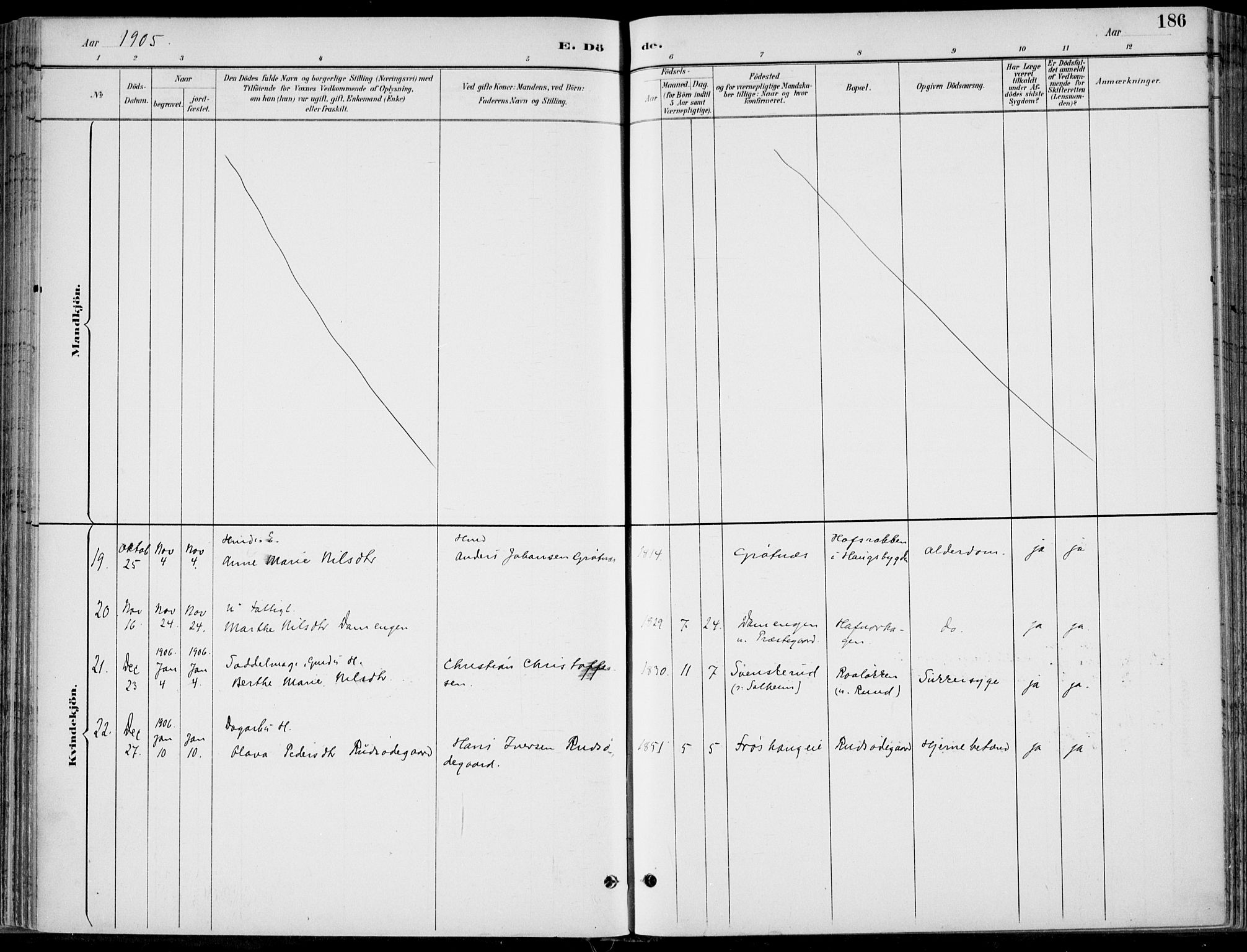 Hole kirkebøker, AV/SAKO-A-228/F/Fa/L0009: Parish register (official) no. I 9, 1892-1907, p. 186