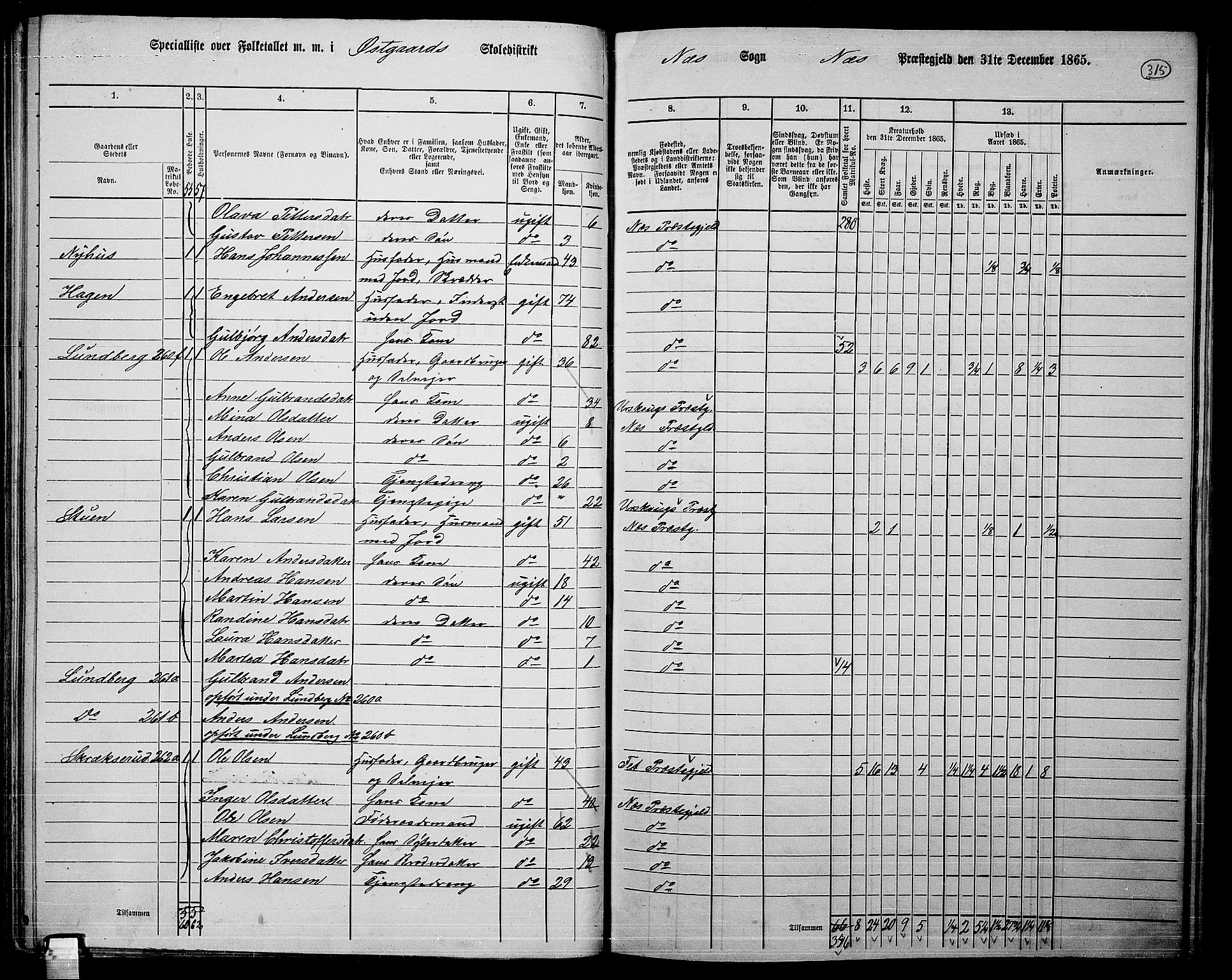 RA, 1865 census for Nes, 1865, p. 290