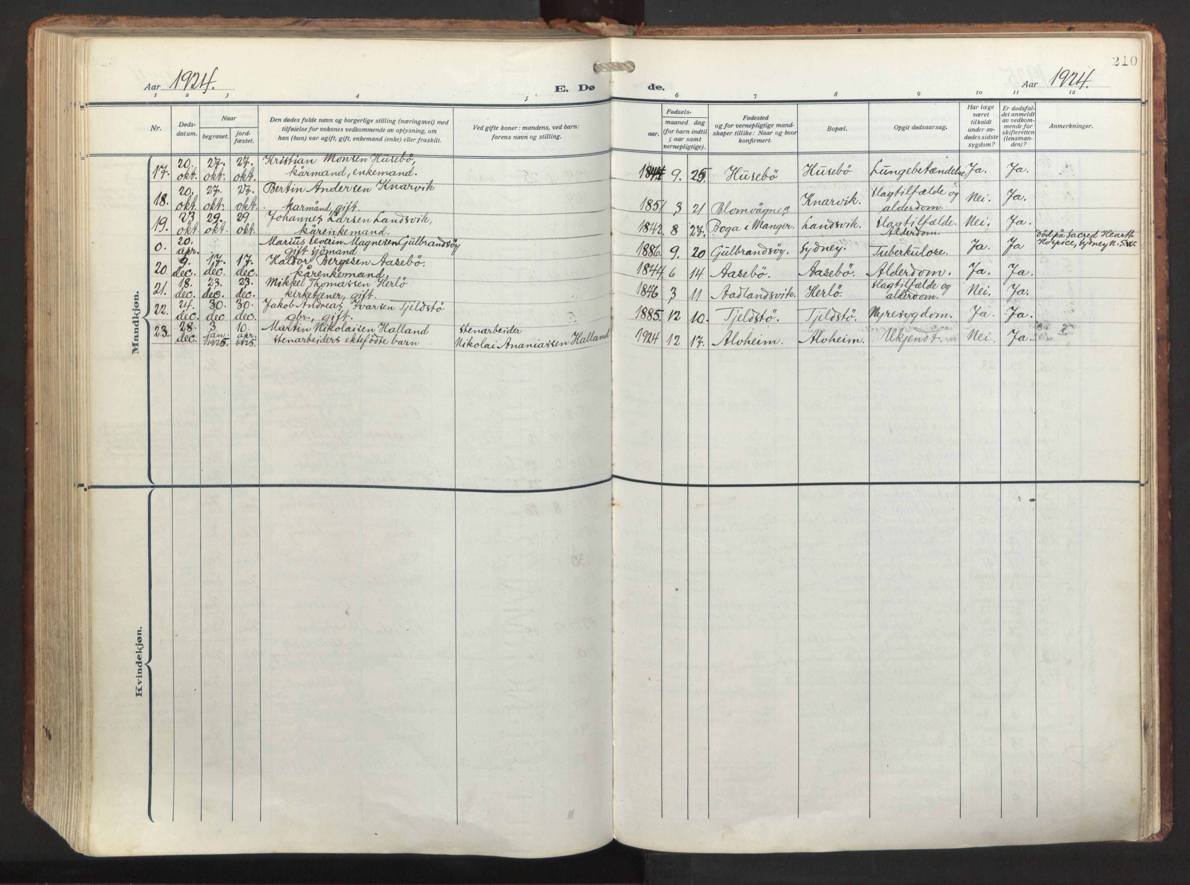 Herdla Sokneprestembete, AV/SAB-A-75701/H/Haa: Parish register (official) no. A 6, 1918-1933, p. 210