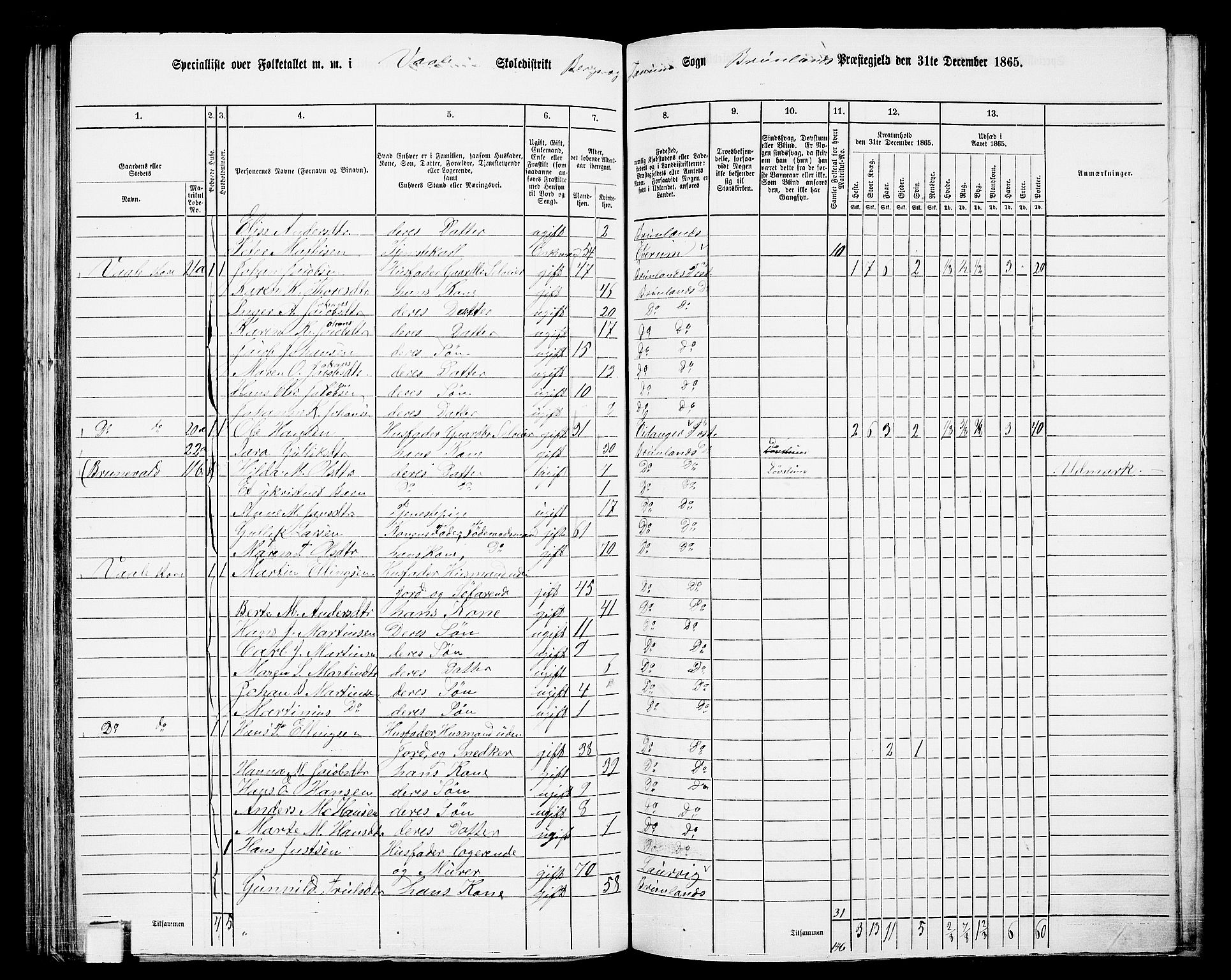 RA, 1865 census for Brunlanes, 1865, p. 120