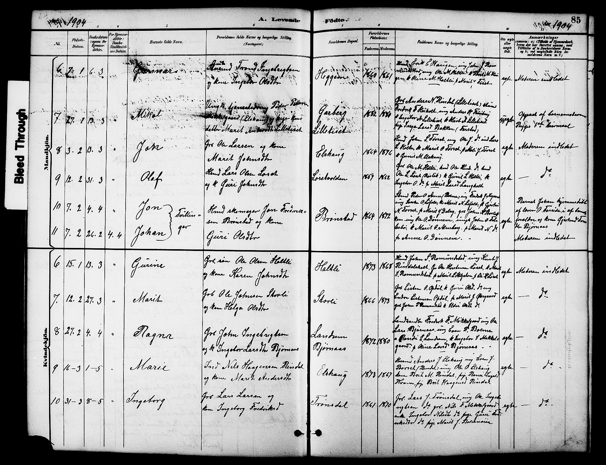 Ministerialprotokoller, klokkerbøker og fødselsregistre - Møre og Romsdal, SAT/A-1454/598/L1078: Parish register (copy) no. 598C03, 1892-1909, p. 85