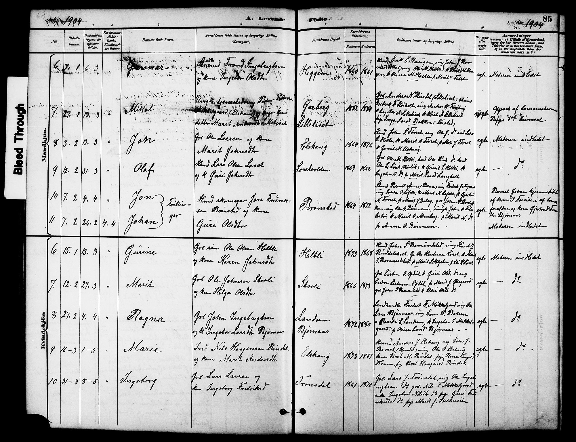 Ministerialprotokoller, klokkerbøker og fødselsregistre - Møre og Romsdal, AV/SAT-A-1454/598/L1078: Parish register (copy) no. 598C03, 1892-1909, p. 85