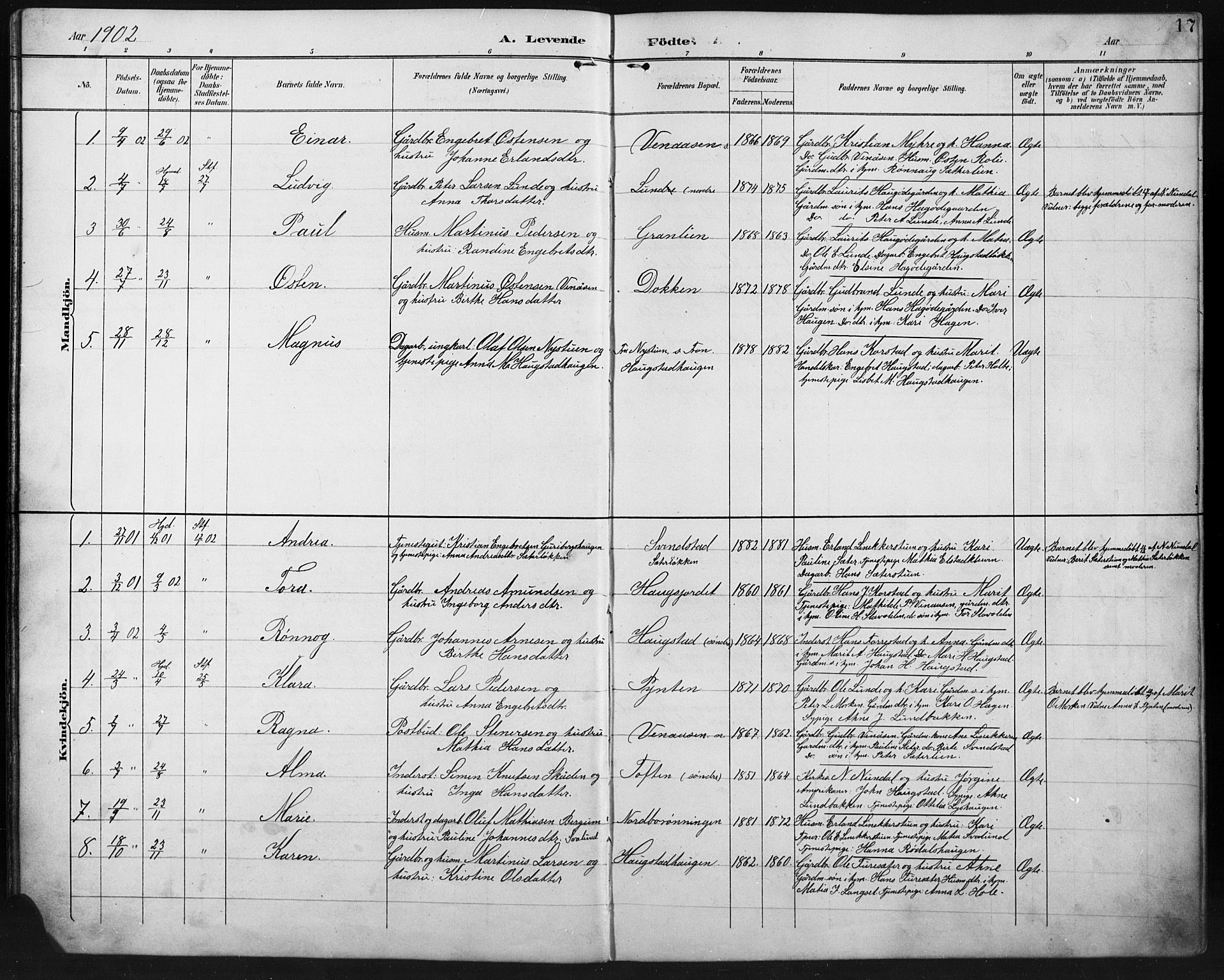 Ringebu prestekontor, SAH/PREST-082/H/Ha/Hab/L0008: Parish register (copy) no. 8, 1890-1922, p. 17