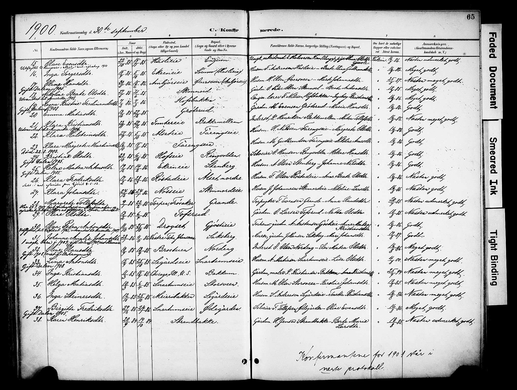 Biri prestekontor, AV/SAH-PREST-096/H/Ha/Haa/L0008: Parish register (official) no. 8, 1894-1901, p. 65