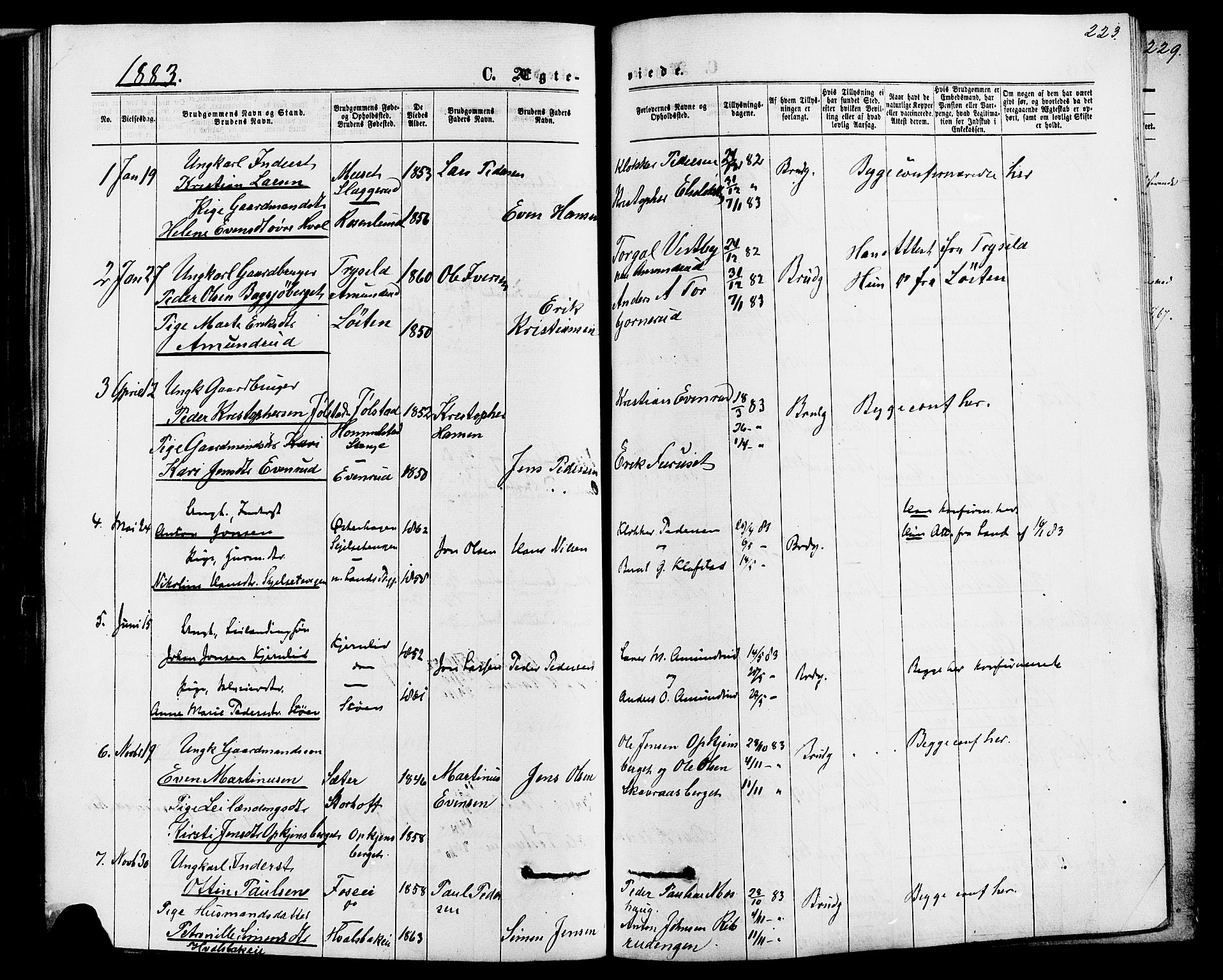 Romedal prestekontor, AV/SAH-PREST-004/K/L0006: Parish register (official) no. 6, 1866-1886, p. 223