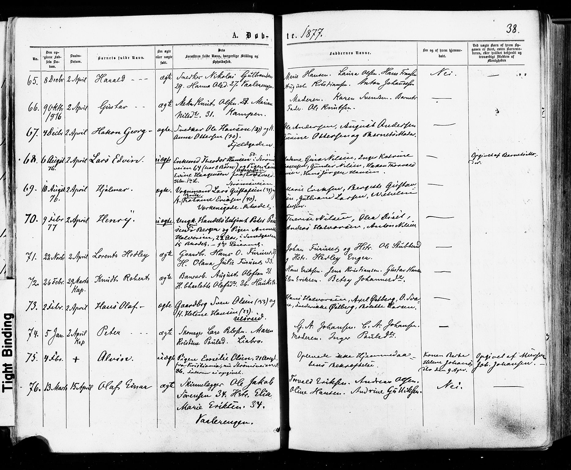 Østre Aker prestekontor Kirkebøker, AV/SAO-A-10840/F/Fa/L0004: Parish register (official) no. I 4, 1876-1889, p. 38