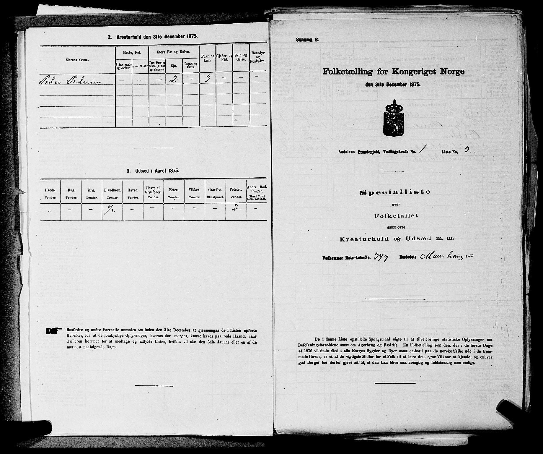 SAKO, 1875 census for 0614P Ådal, 1875, p. 33