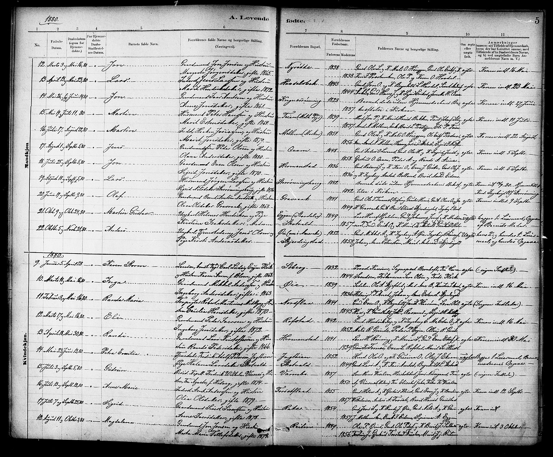 Ministerialprotokoller, klokkerbøker og fødselsregistre - Sør-Trøndelag, SAT/A-1456/691/L1094: Parish register (copy) no. 691C05, 1879-1911, p. 5