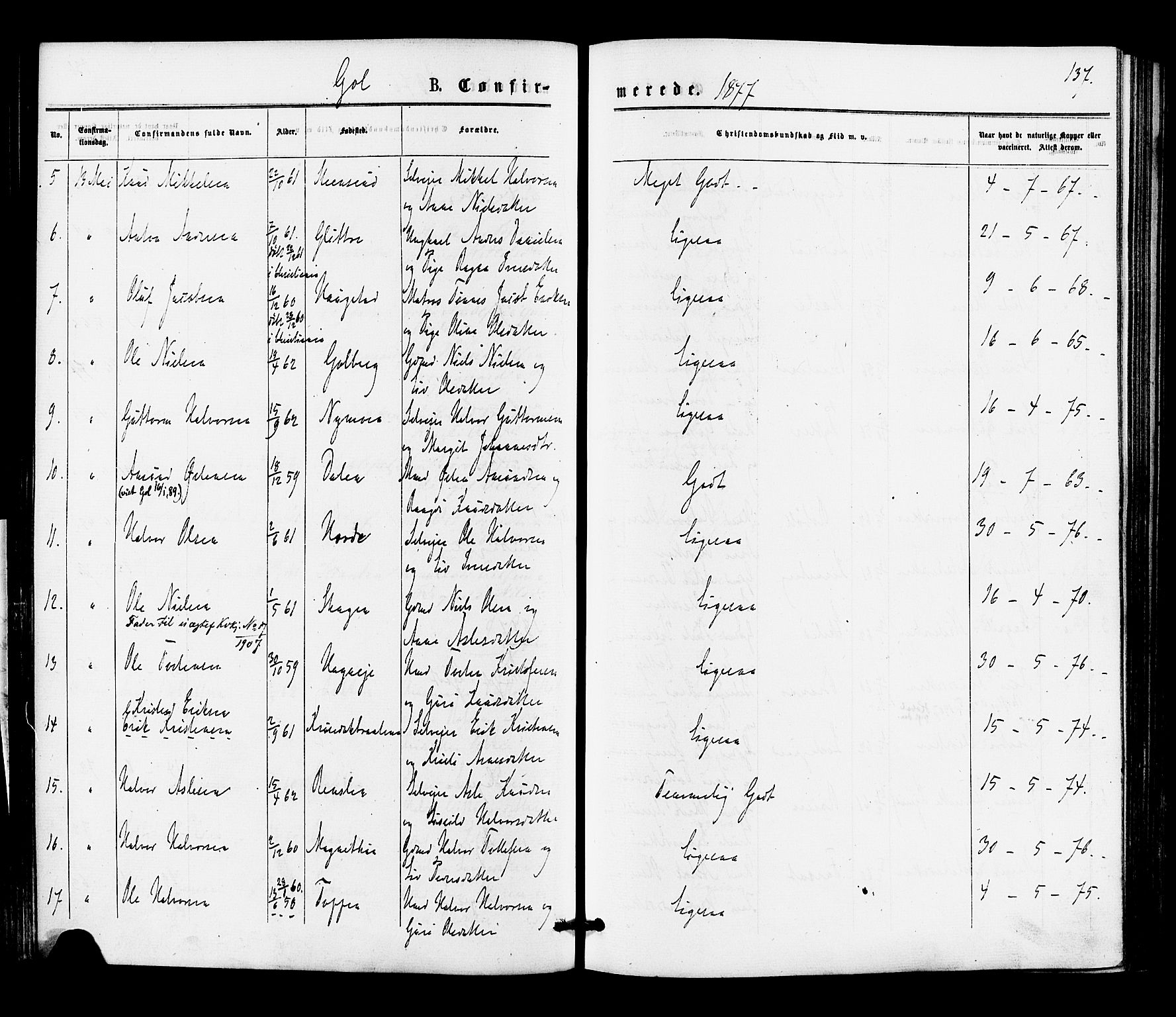 Gol kirkebøker, AV/SAKO-A-226/F/Fa/L0004: Parish register (official) no. I 4, 1876-1886, p. 137
