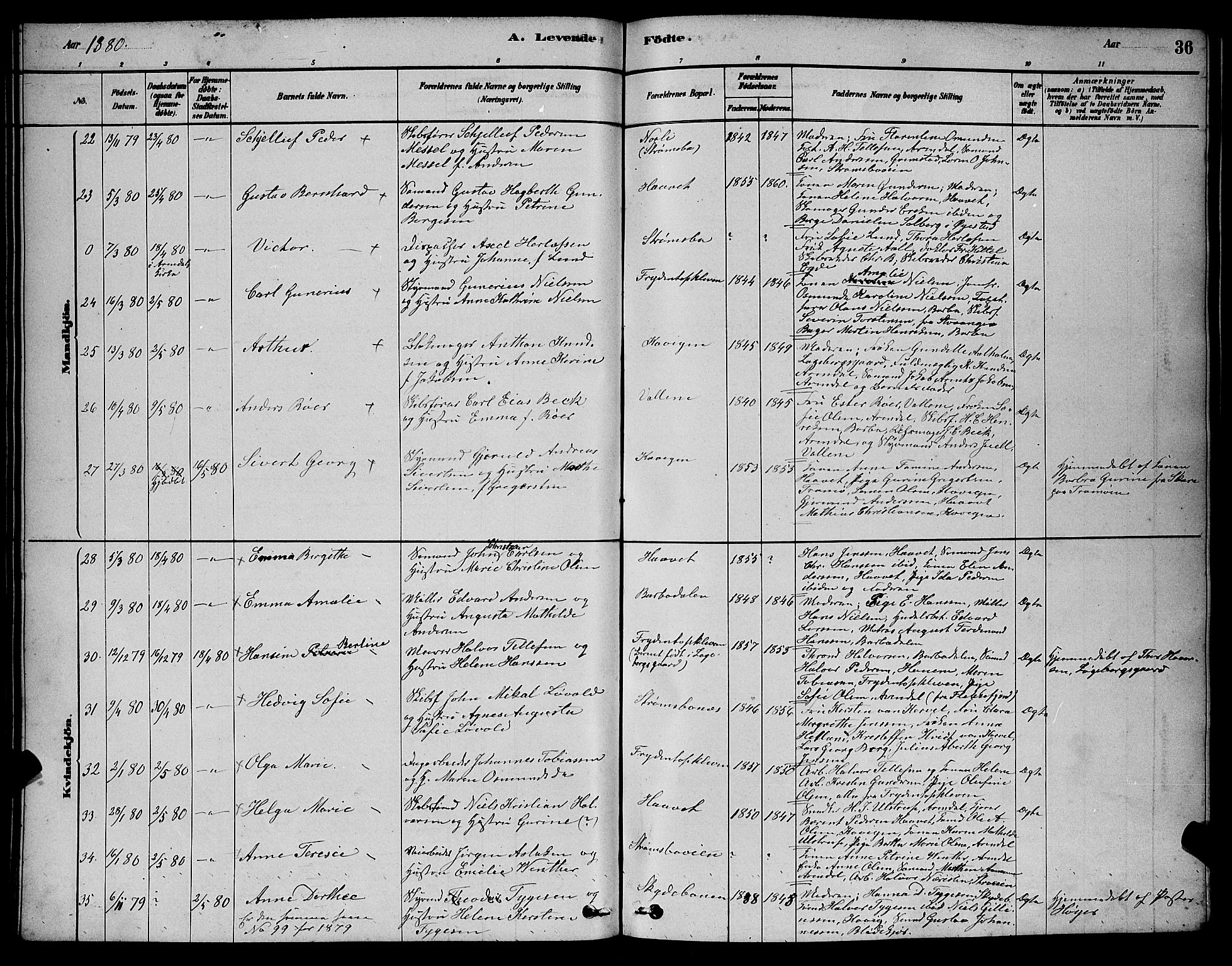 Barbu sokneprestkontor, AV/SAK-1111-0003/F/Fb/L0001: Parish register (copy) no. B 1, 1878-1890, p. 36