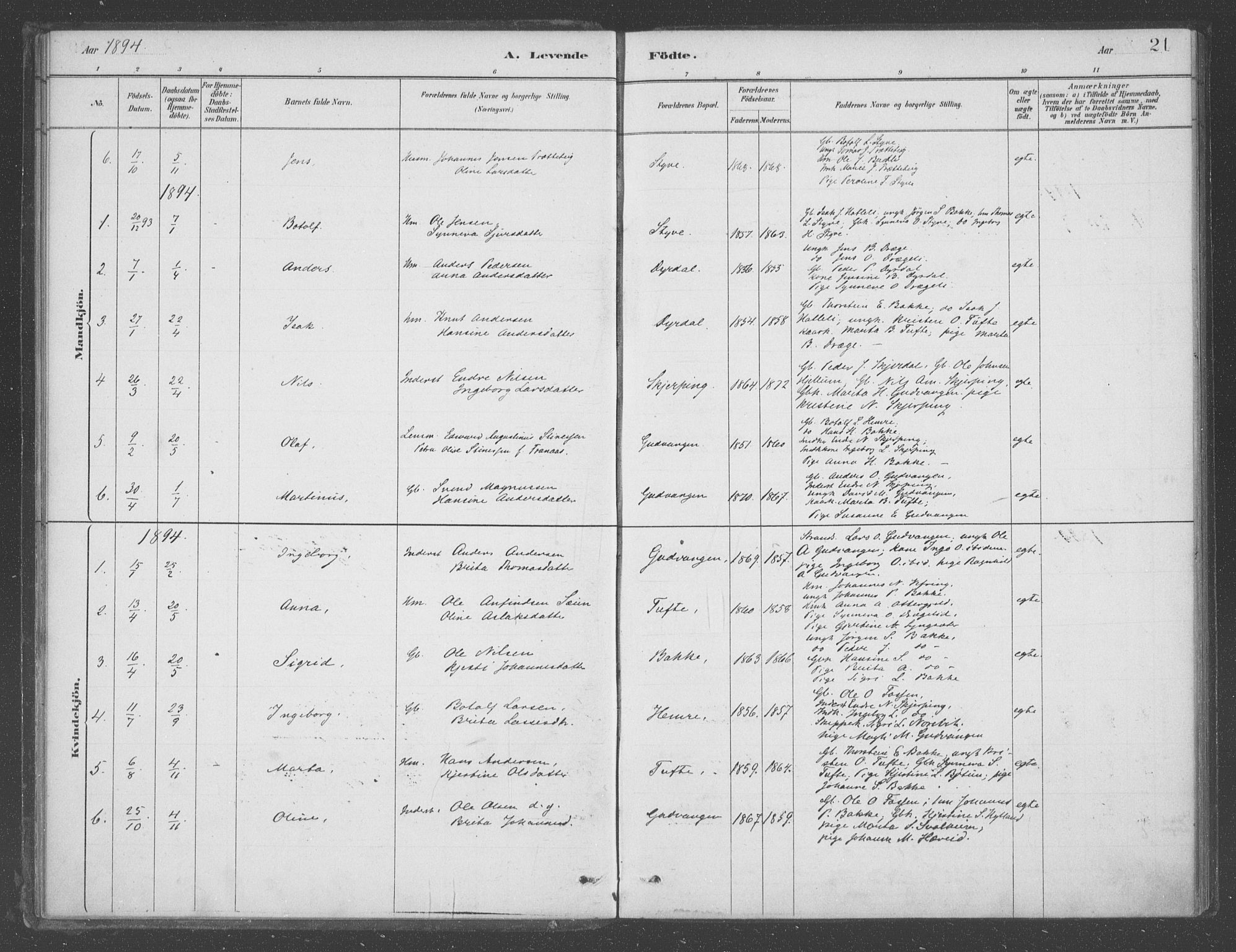 Aurland sokneprestembete, SAB/A-99937/H/Ha/Had/L0001: Parish register (official) no. D  1, 1880-1903, p. 21