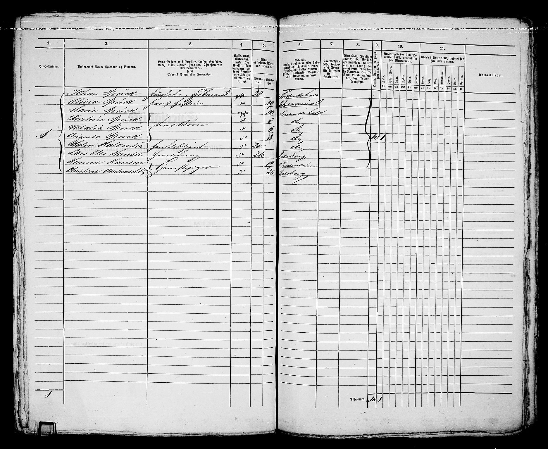 RA, 1865 census for Fredrikshald, 1865, p. 713