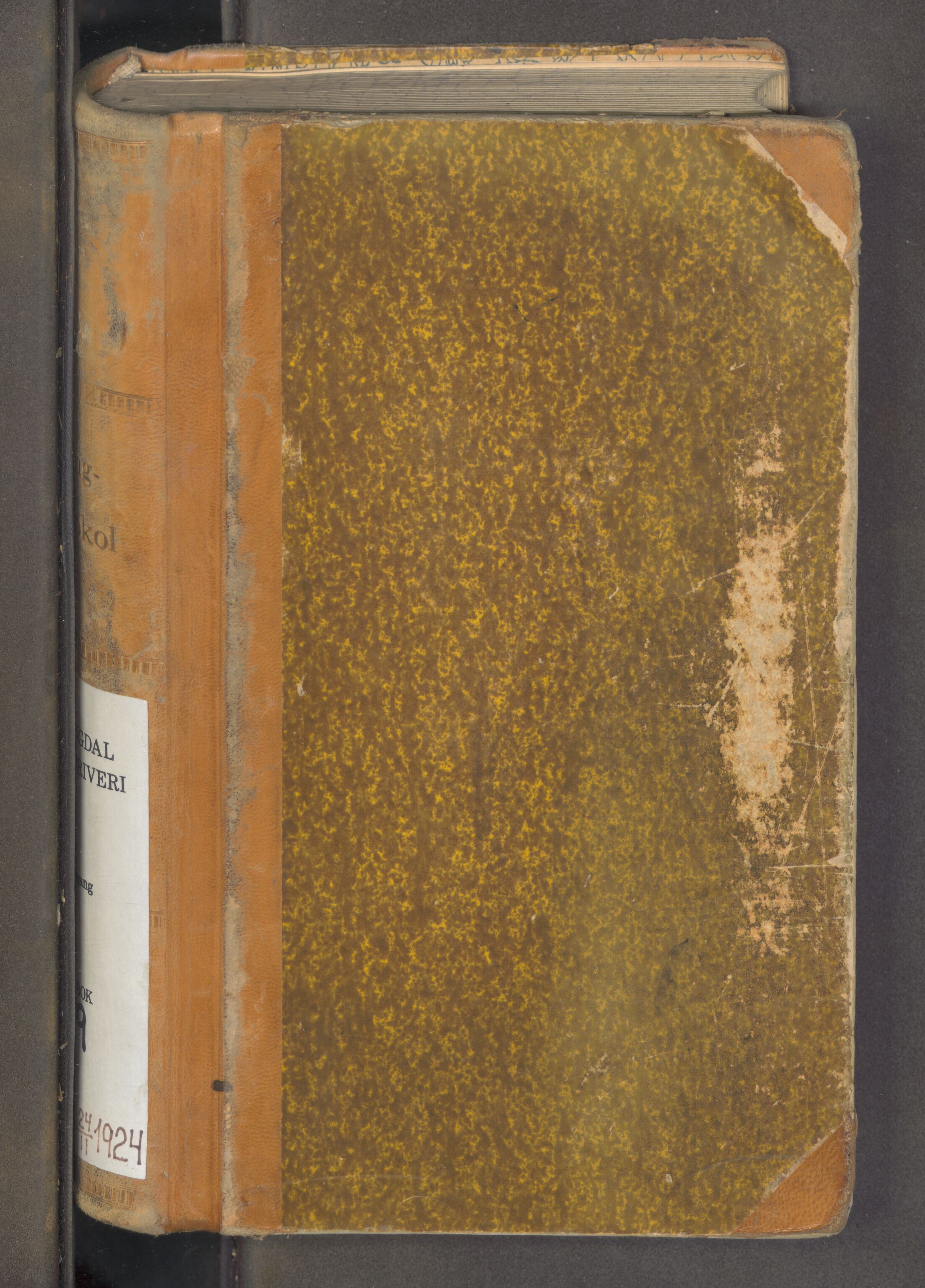 Hallingdal sorenskriveri, AV/SAKO-A-121/F/Fa/L0029: Tingbok, 1922-1924