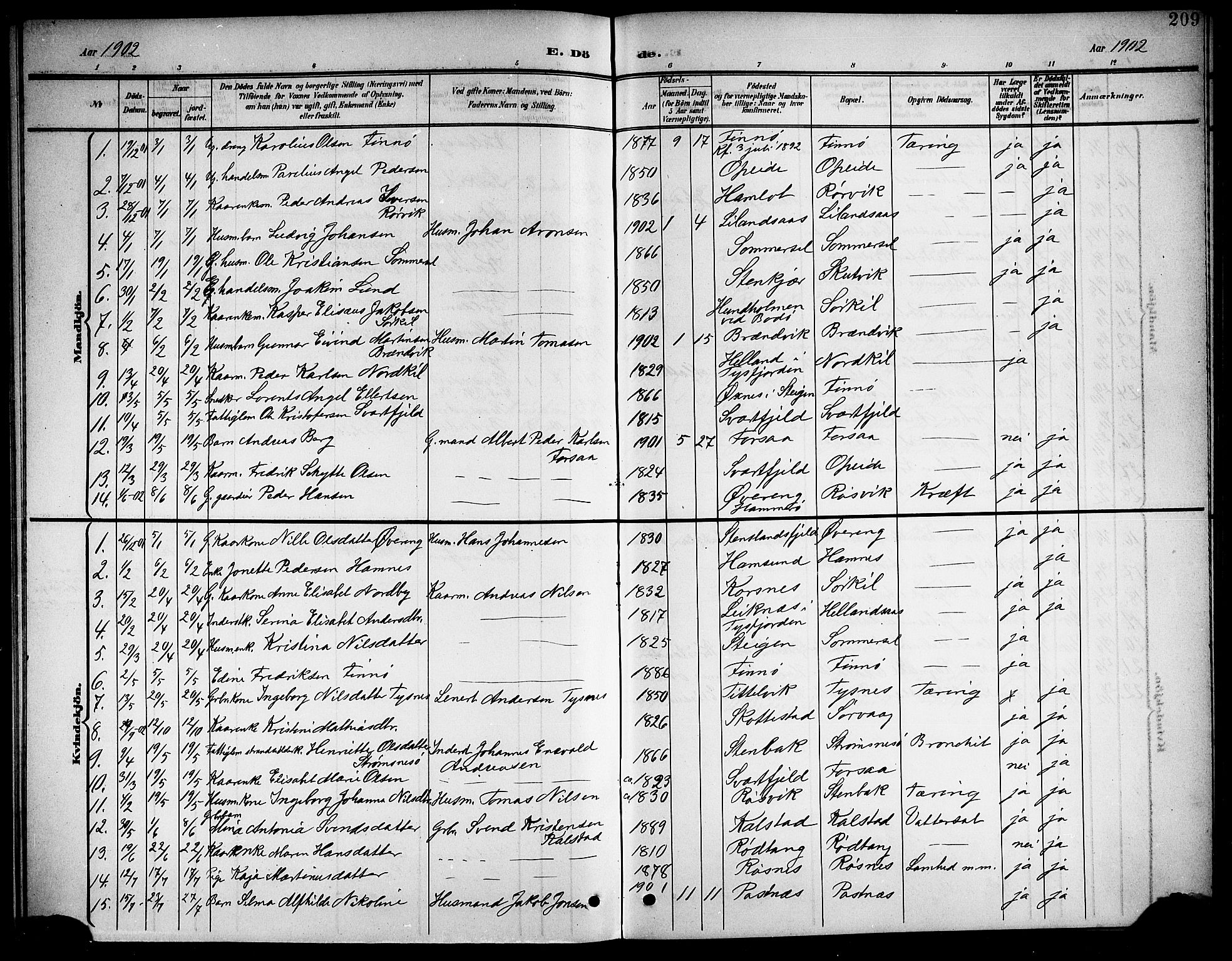 Ministerialprotokoller, klokkerbøker og fødselsregistre - Nordland, AV/SAT-A-1459/859/L0860: Parish register (copy) no. 859C06, 1899-1909, p. 209