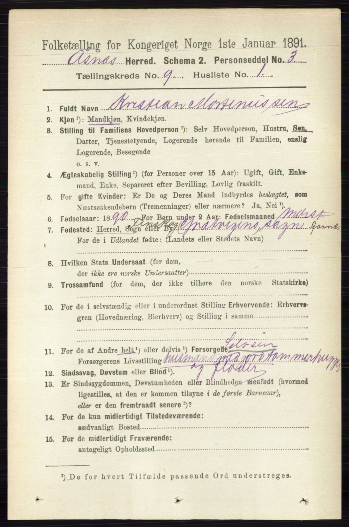 RA, 1891 census for 0425 Åsnes, 1891, p. 4618