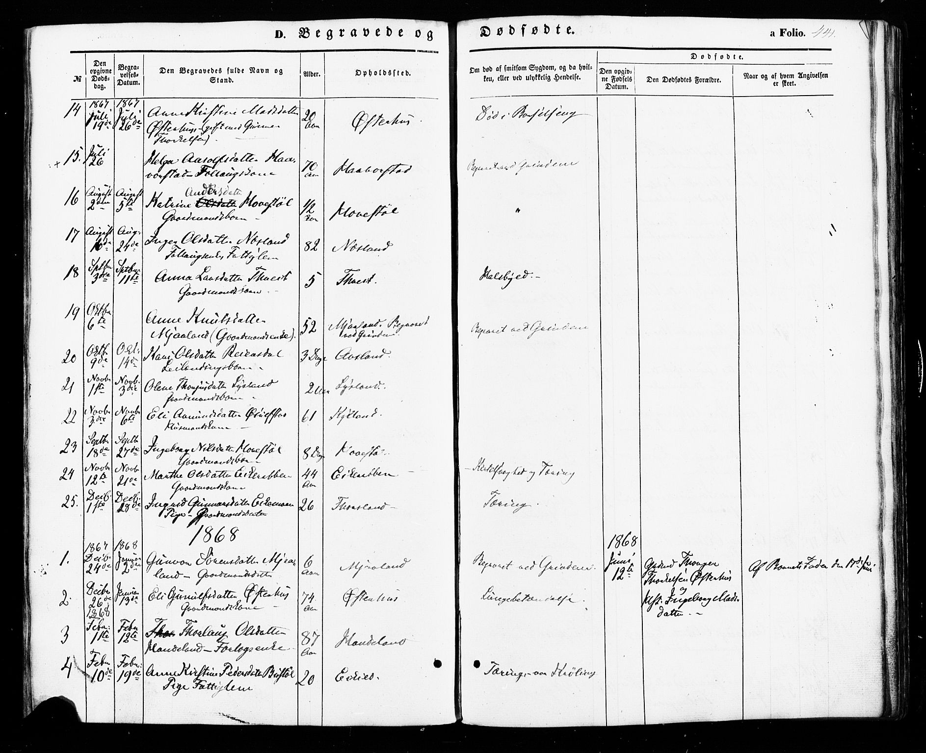 Åseral sokneprestkontor, SAK/1111-0051/F/Fa/L0002: Parish register (official) no. A 2, 1854-1884, p. 441