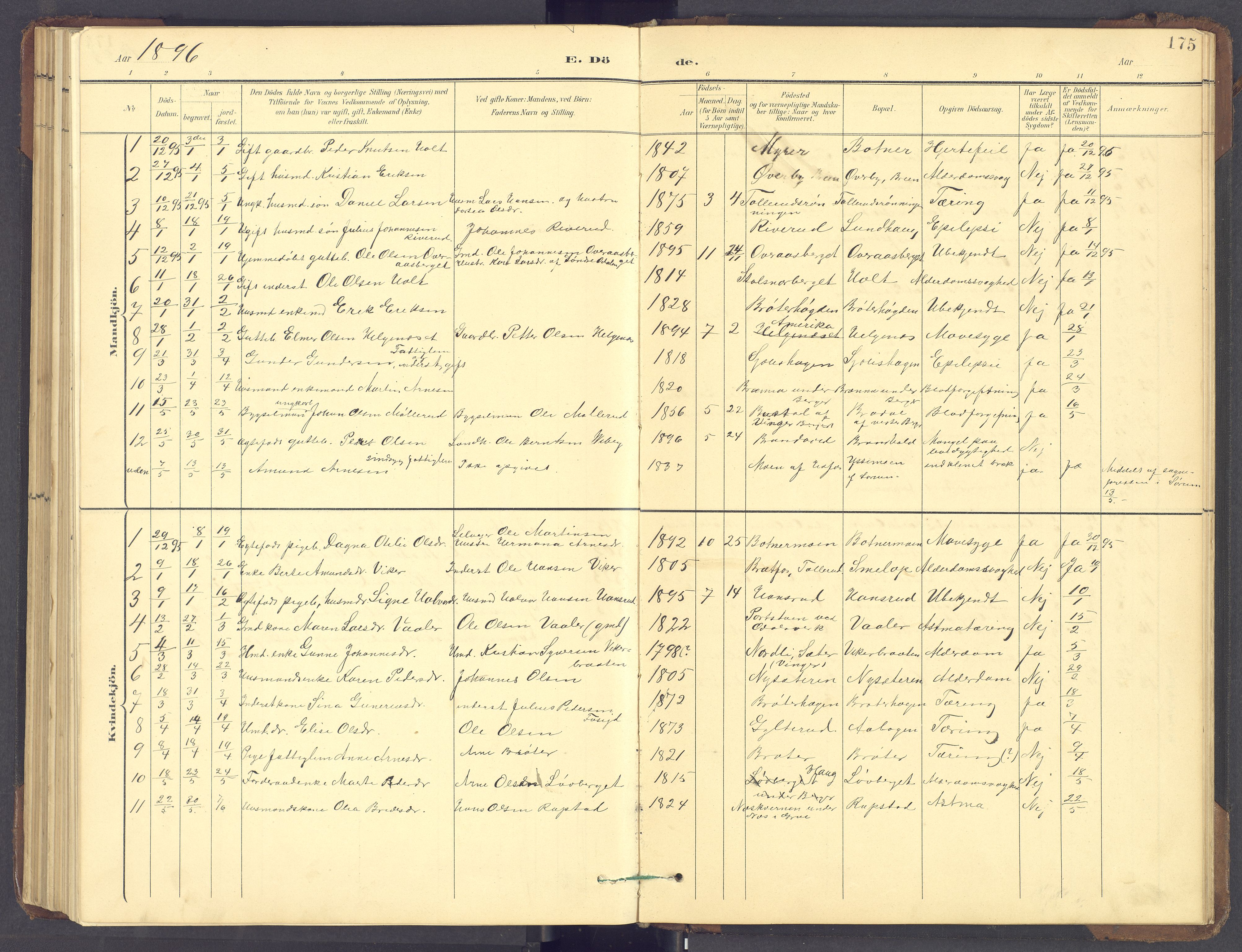 Brandval prestekontor, SAH/PREST-034/H/Ha/Hab/L0002: Parish register (copy) no. 2, 1895-1904, p. 175