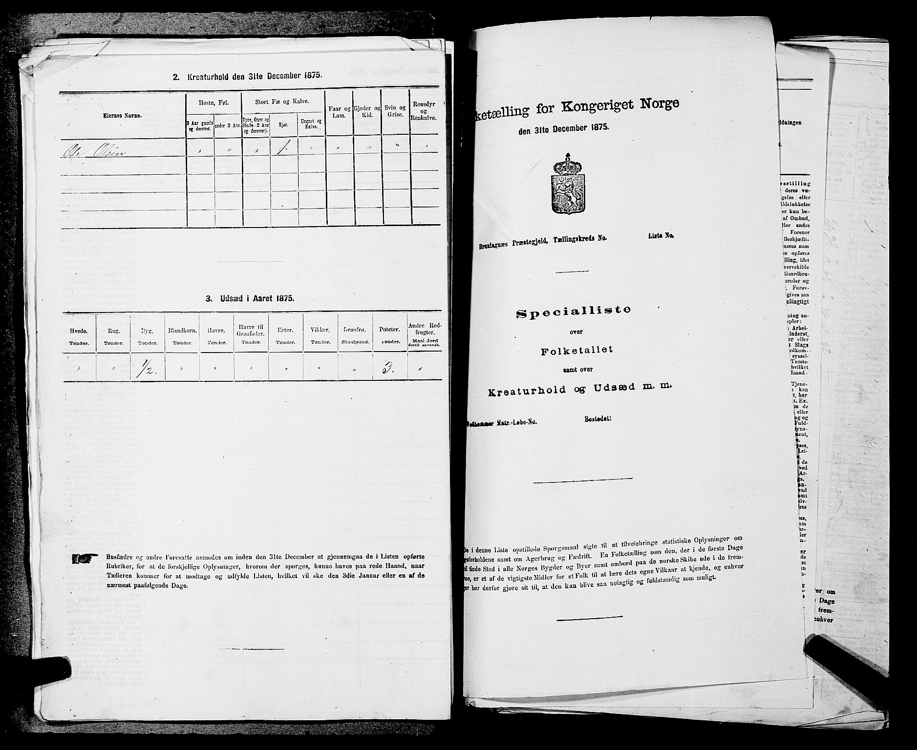 SAKO, 1875 census for 0818P Solum, 1875, p. 270