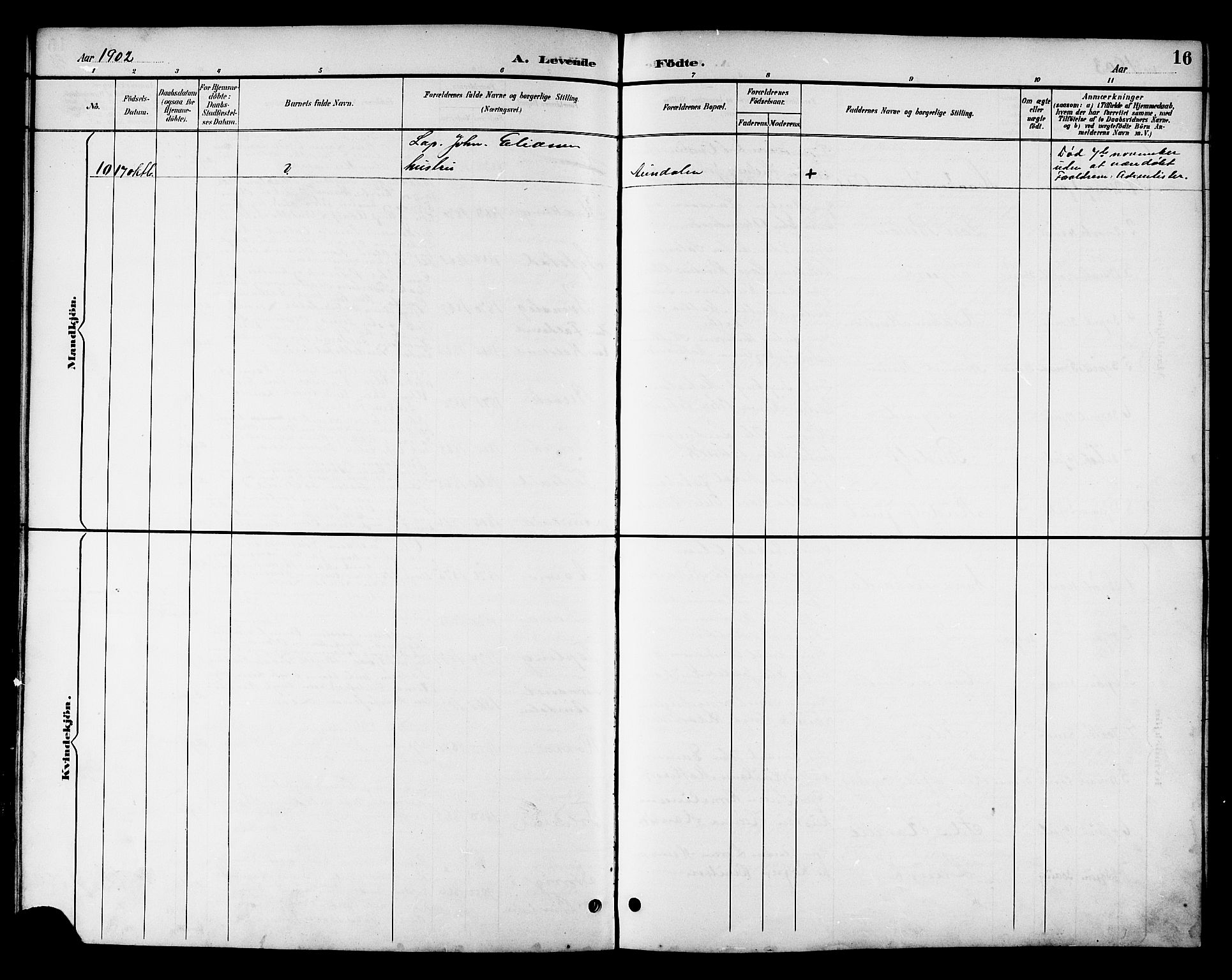 Ministerialprotokoller, klokkerbøker og fødselsregistre - Nord-Trøndelag, SAT/A-1458/783/L0662: Parish register (copy) no. 783C02, 1894-1919, p. 16