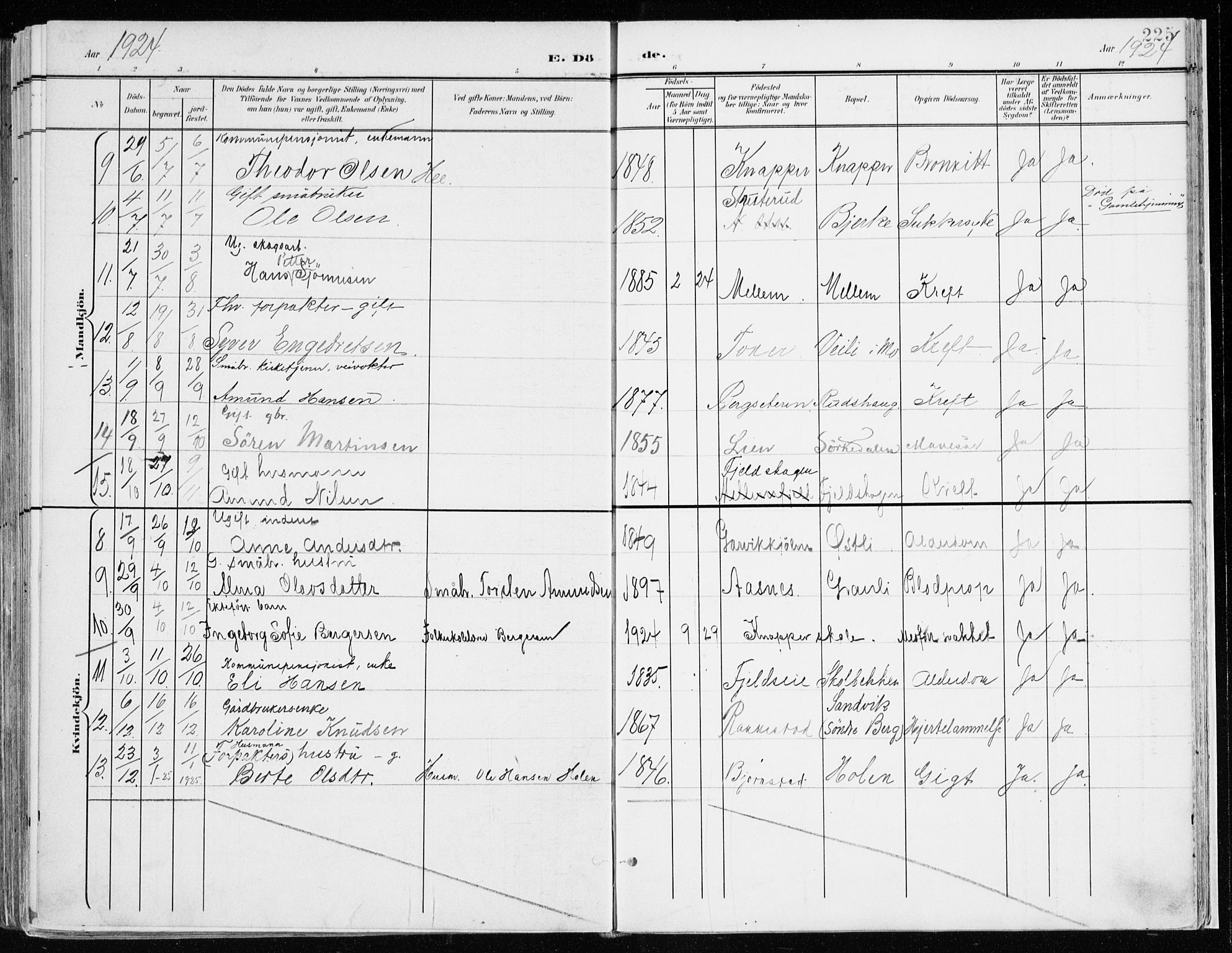 Nord-Odal prestekontor, AV/SAH-PREST-032/H/Ha/Haa/L0009: Parish register (official) no. 9, 1902-1926, p. 225