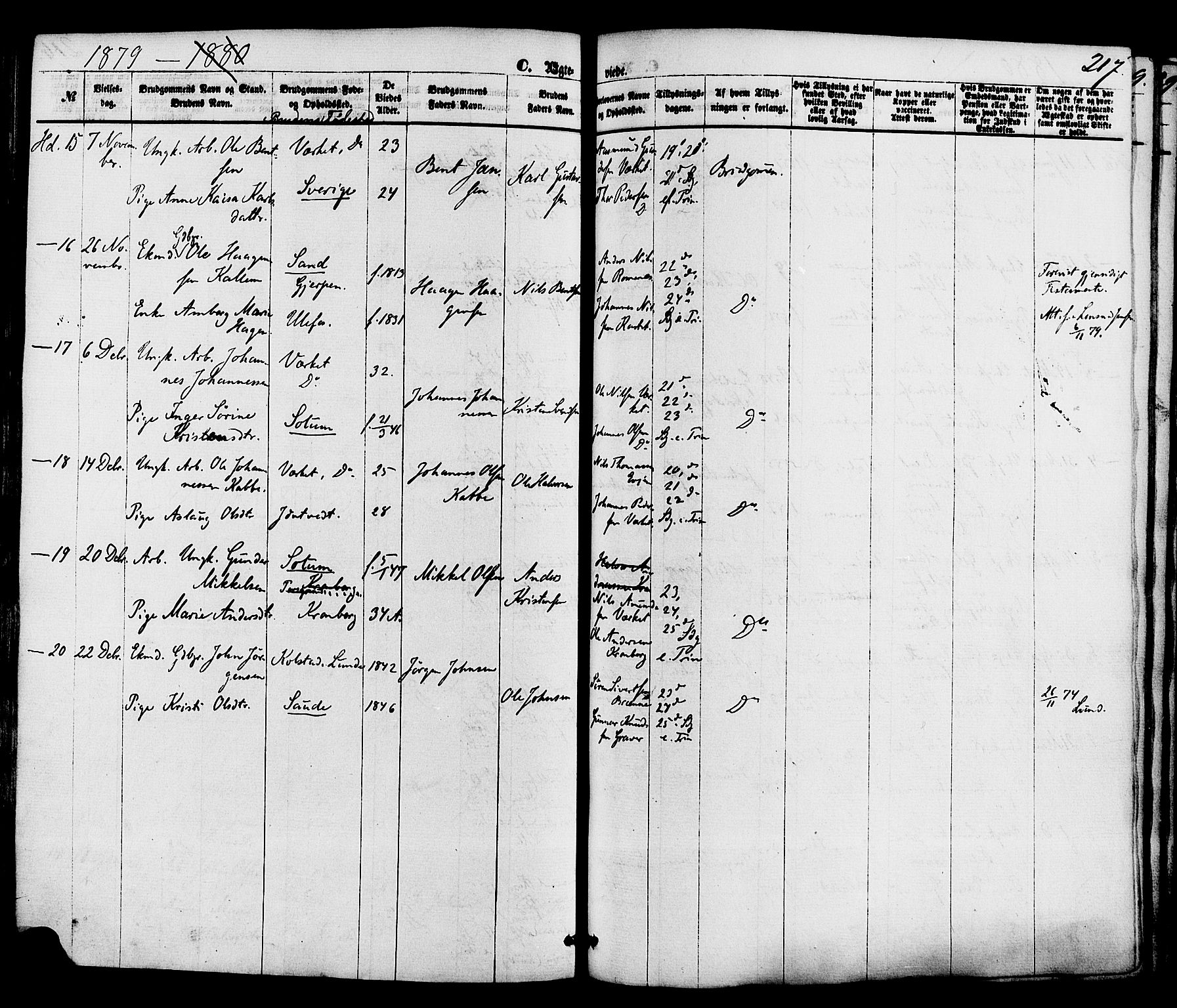 Holla kirkebøker, SAKO/A-272/F/Fa/L0007: Parish register (official) no. 7, 1869-1881, p. 217