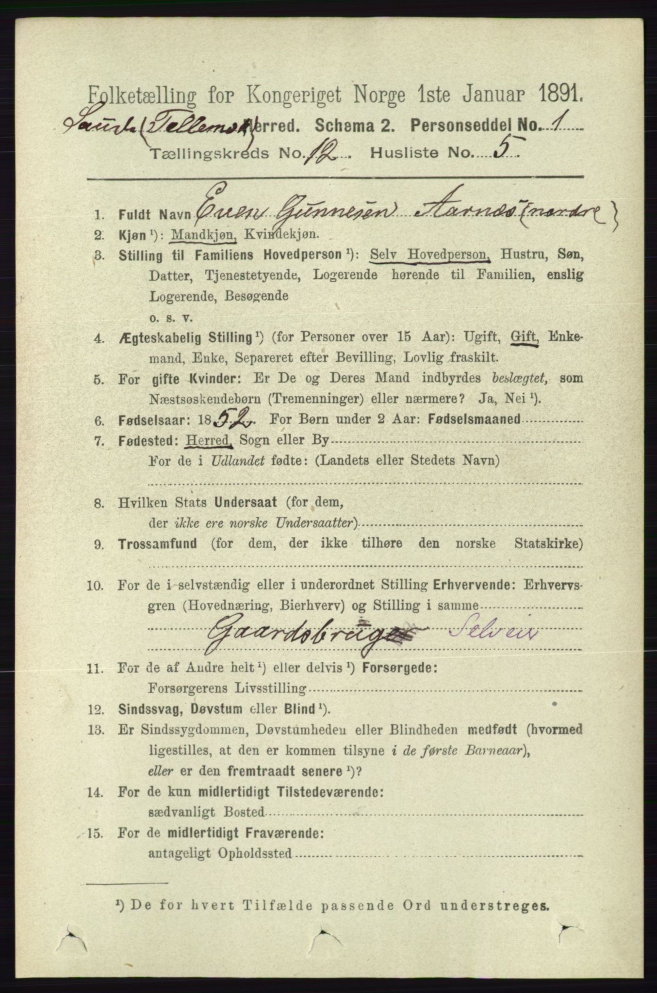 RA, 1891 census for 0822 Sauherad, 1891, p. 3647