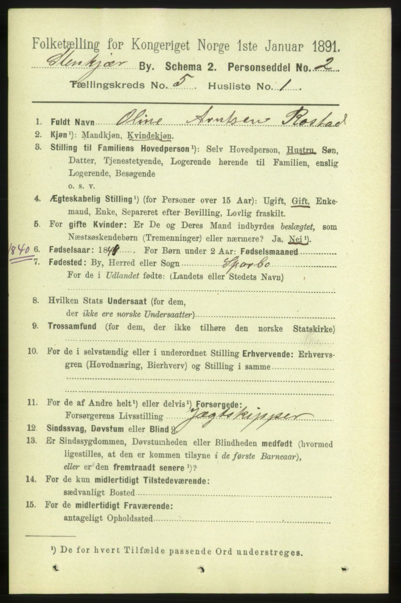 RA, 1891 census for 1702 Steinkjer, 1891, p. 1799