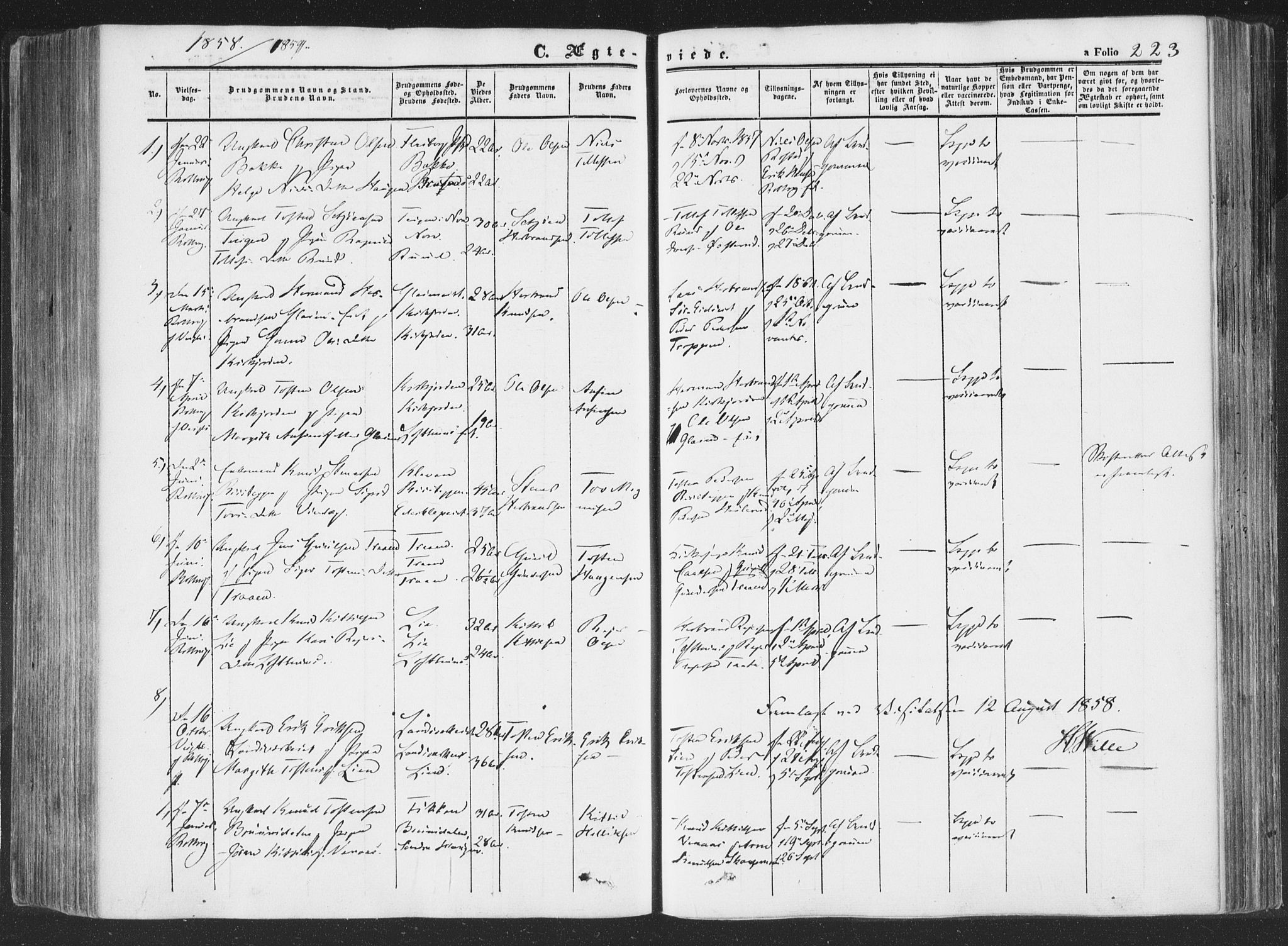 Rollag kirkebøker, AV/SAKO-A-240/F/Fa/L0008: Parish register (official) no. I 8, 1847-1860, p. 223