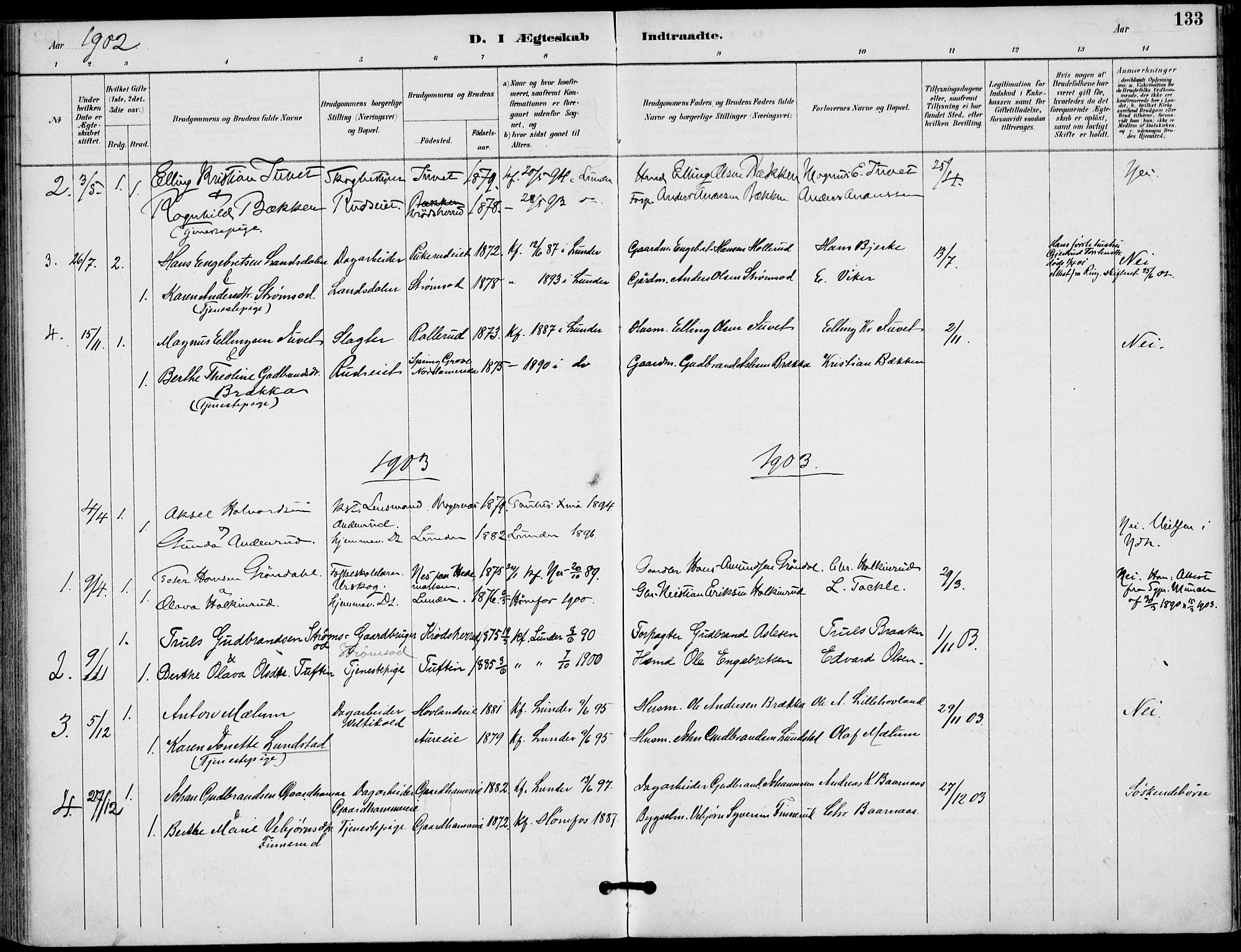 Lunder kirkebøker, AV/SAKO-A-629/F/Fa/L0001: Parish register (official) no. I 1, 1885-1912, p. 133