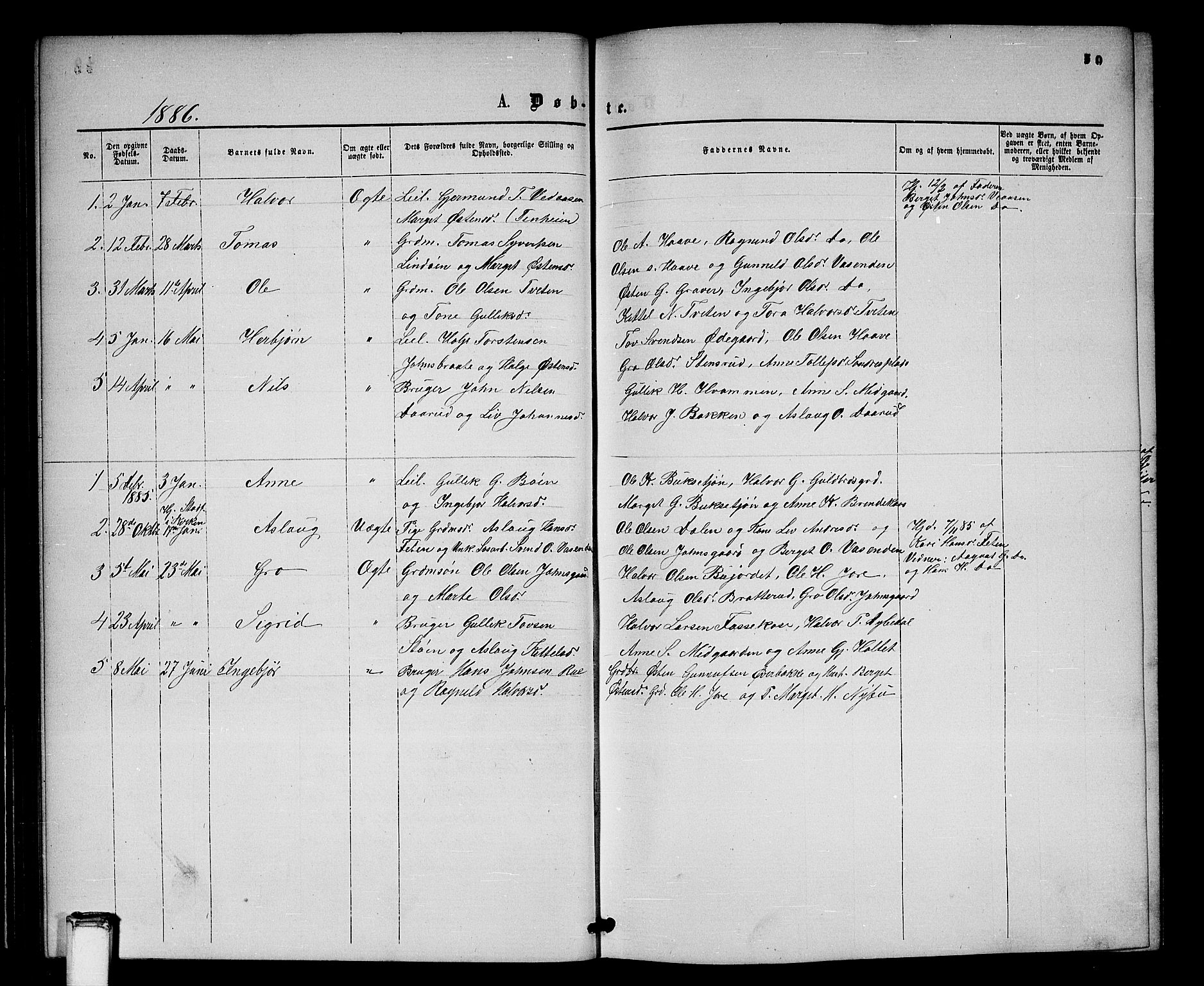 Gransherad kirkebøker, SAKO/A-267/G/Gb/L0002: Parish register (copy) no. II 2, 1860-1886, p. 50