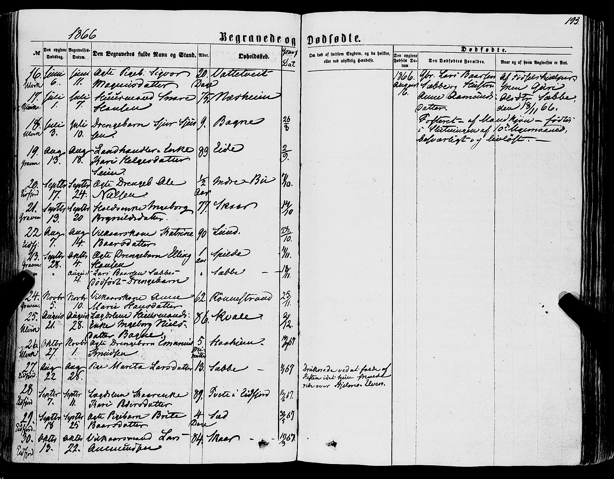 Ulvik sokneprestembete, AV/SAB-A-78801/H/Haa: Parish register (official) no. A 15, 1864-1878, p. 193