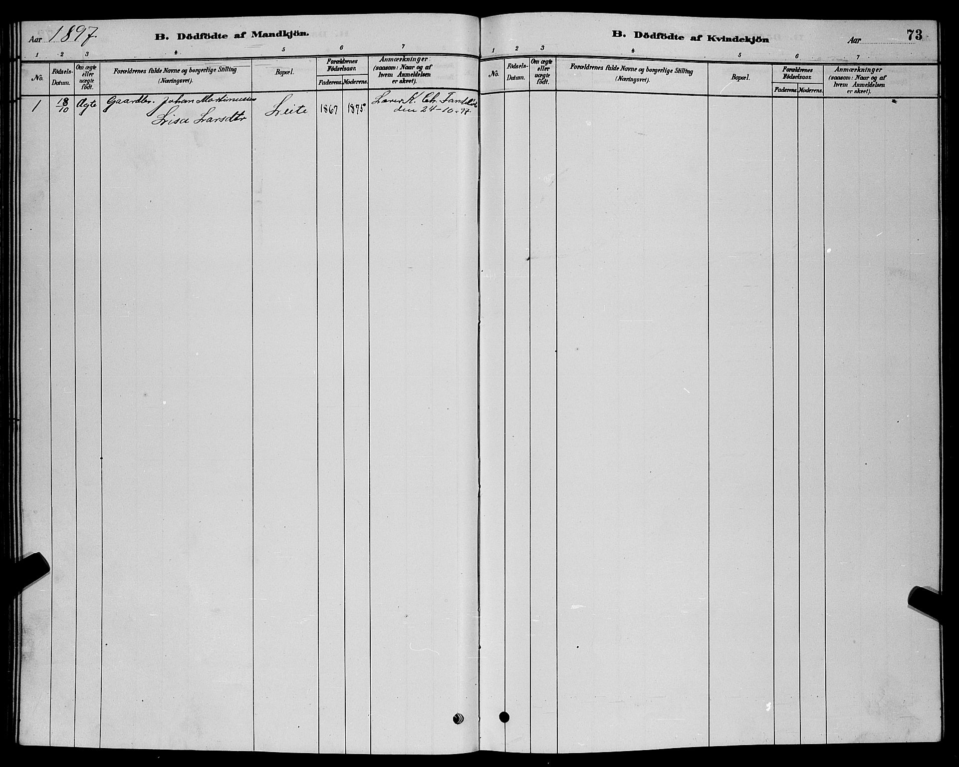 Ministerialprotokoller, klokkerbøker og fødselsregistre - Møre og Romsdal, AV/SAT-A-1454/524/L0365: Parish register (copy) no. 524C06, 1880-1899, p. 73