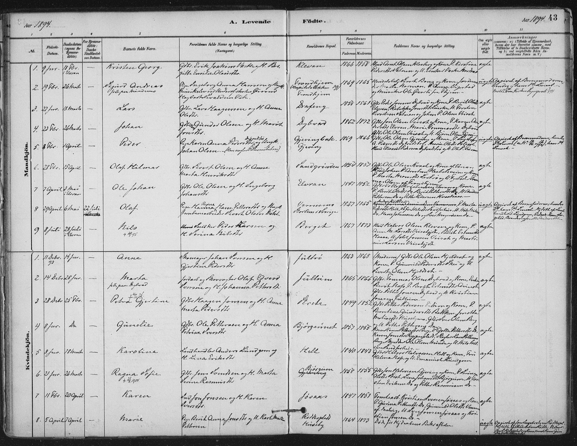 Ministerialprotokoller, klokkerbøker og fødselsregistre - Nord-Trøndelag, SAT/A-1458/710/L0095: Parish register (official) no. 710A01, 1880-1914, p. 43