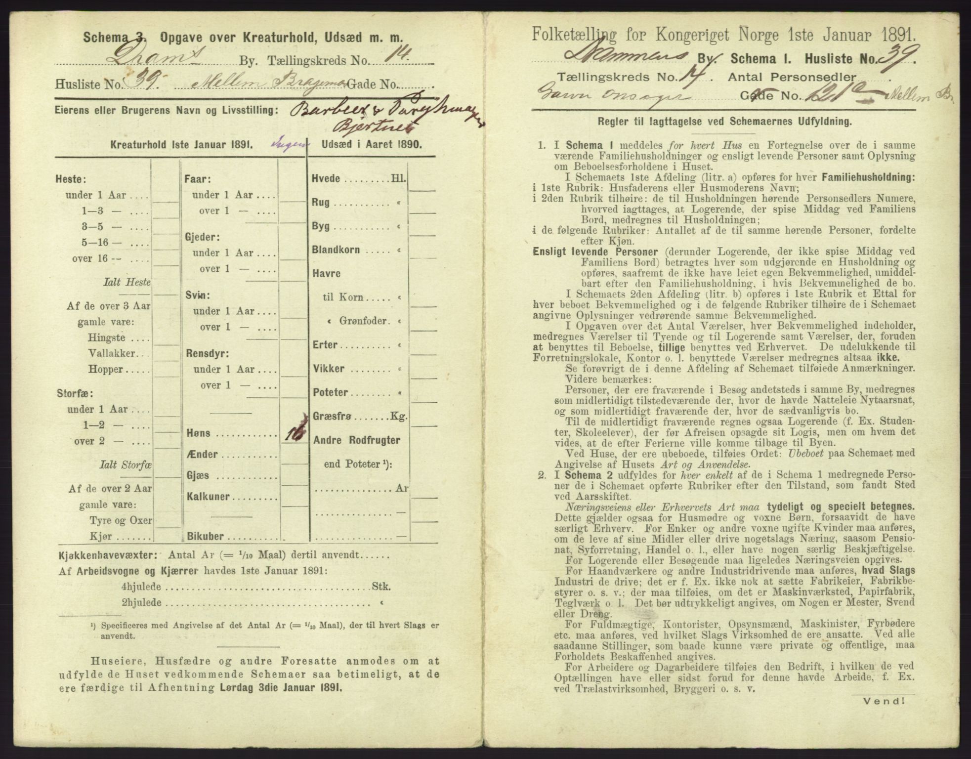 RA, 1891 census for 0602 Drammen, 1891, p. 1229