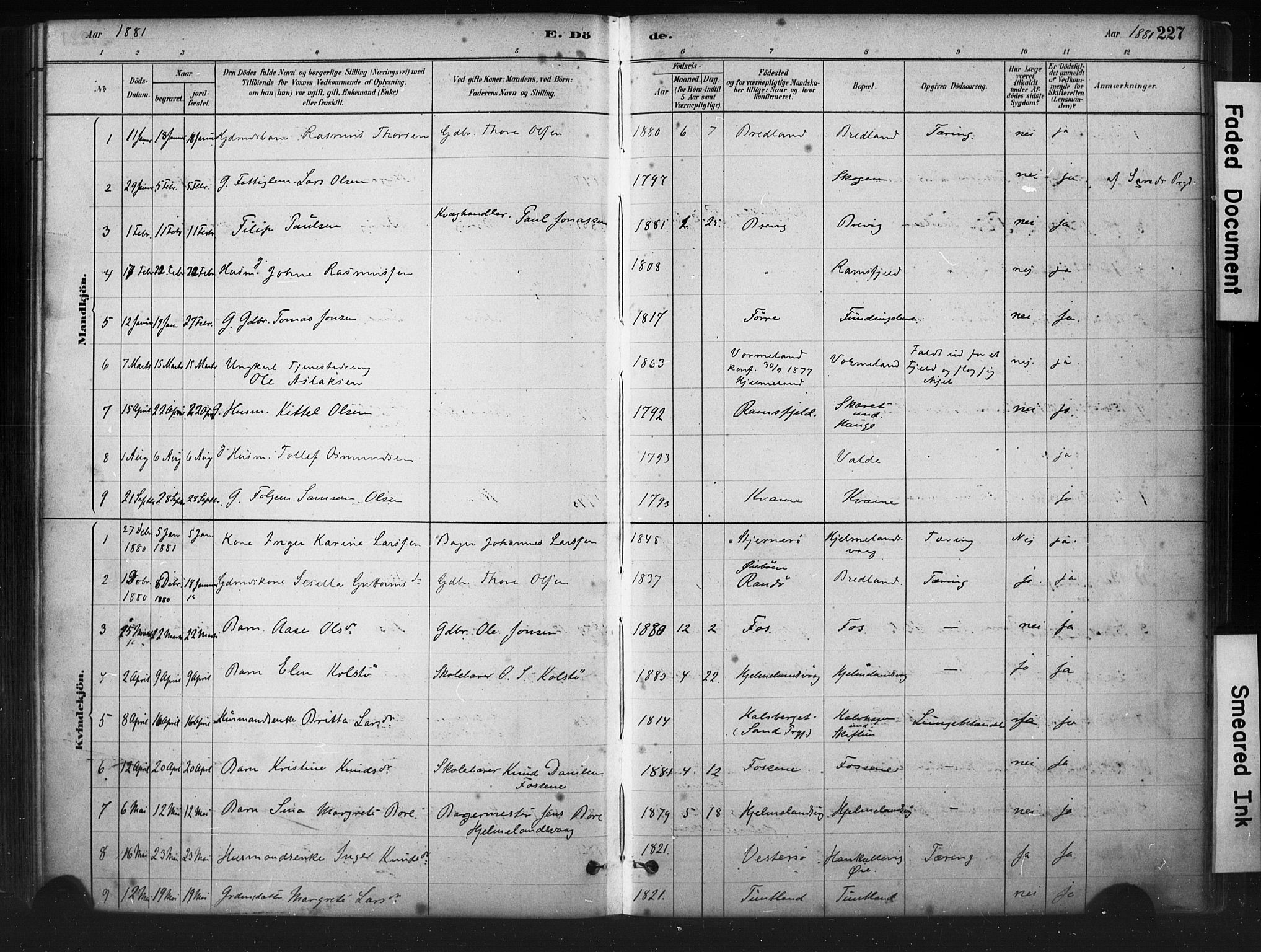 Hjelmeland sokneprestkontor, AV/SAST-A-101843/01/IV/L0014: Parish register (official) no. A 14, 1879-1900, p. 227