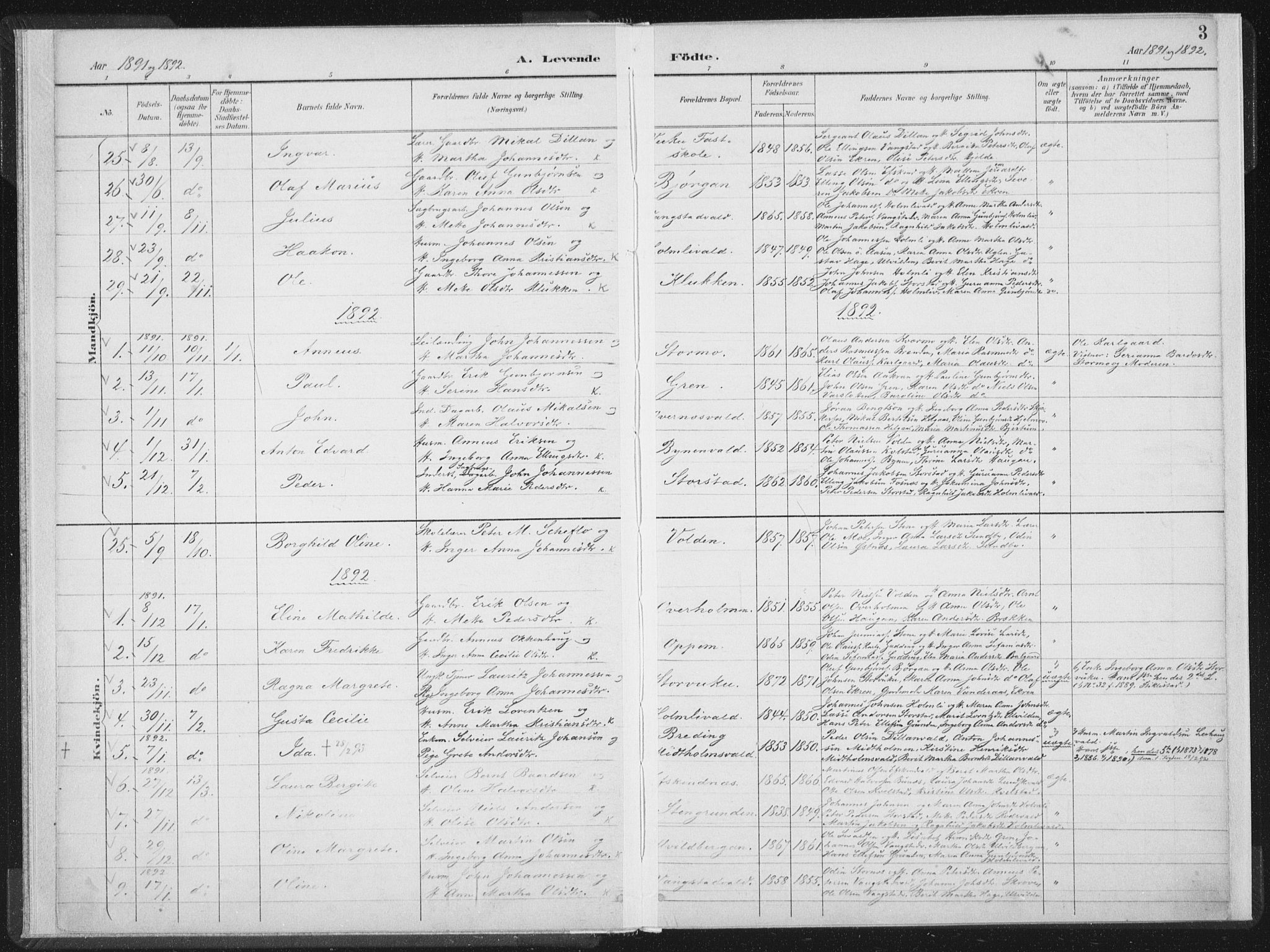 Ministerialprotokoller, klokkerbøker og fødselsregistre - Nord-Trøndelag, SAT/A-1458/724/L0263: Parish register (official) no. 724A01, 1891-1907, p. 3