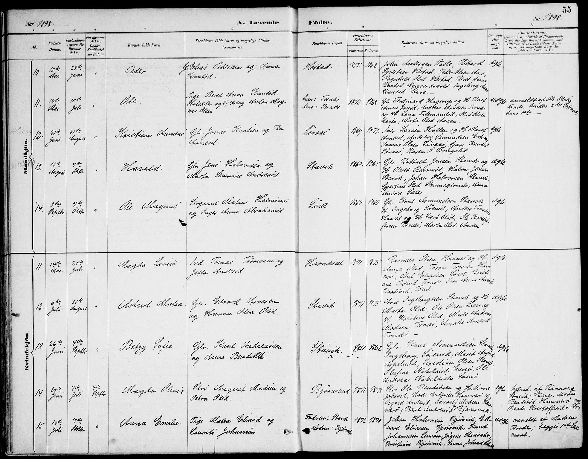 Ministerialprotokoller, klokkerbøker og fødselsregistre - Møre og Romsdal, AV/SAT-A-1454/565/L0750: Parish register (official) no. 565A04, 1887-1905, p. 55