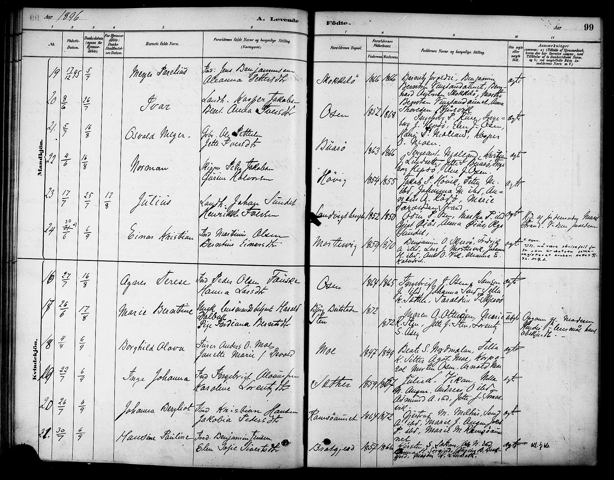 Ministerialprotokoller, klokkerbøker og fødselsregistre - Sør-Trøndelag, SAT/A-1456/658/L0722: Parish register (official) no. 658A01, 1879-1896, p. 99