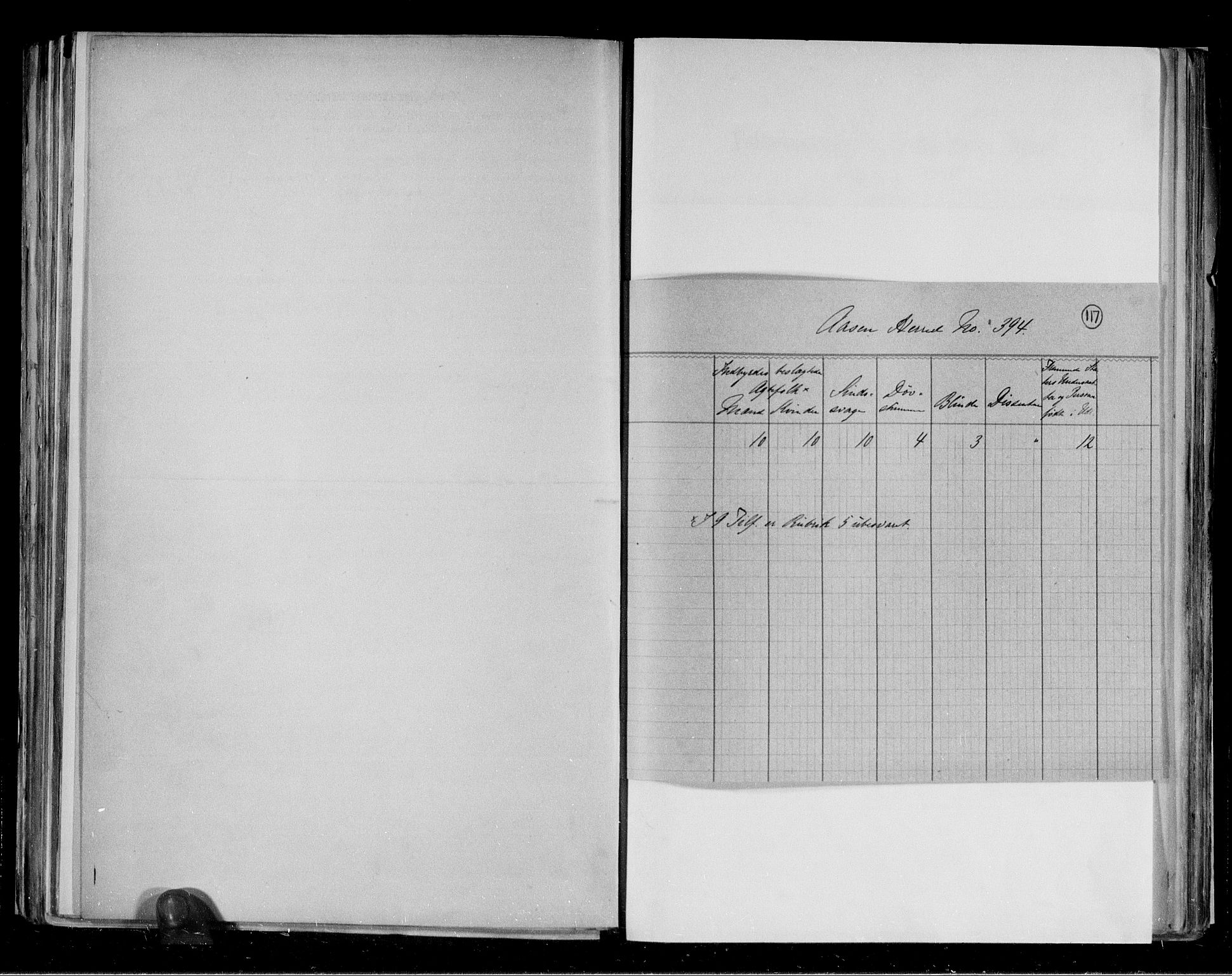 RA, 1891 census for 1716 Åsen, 1891, p. 4