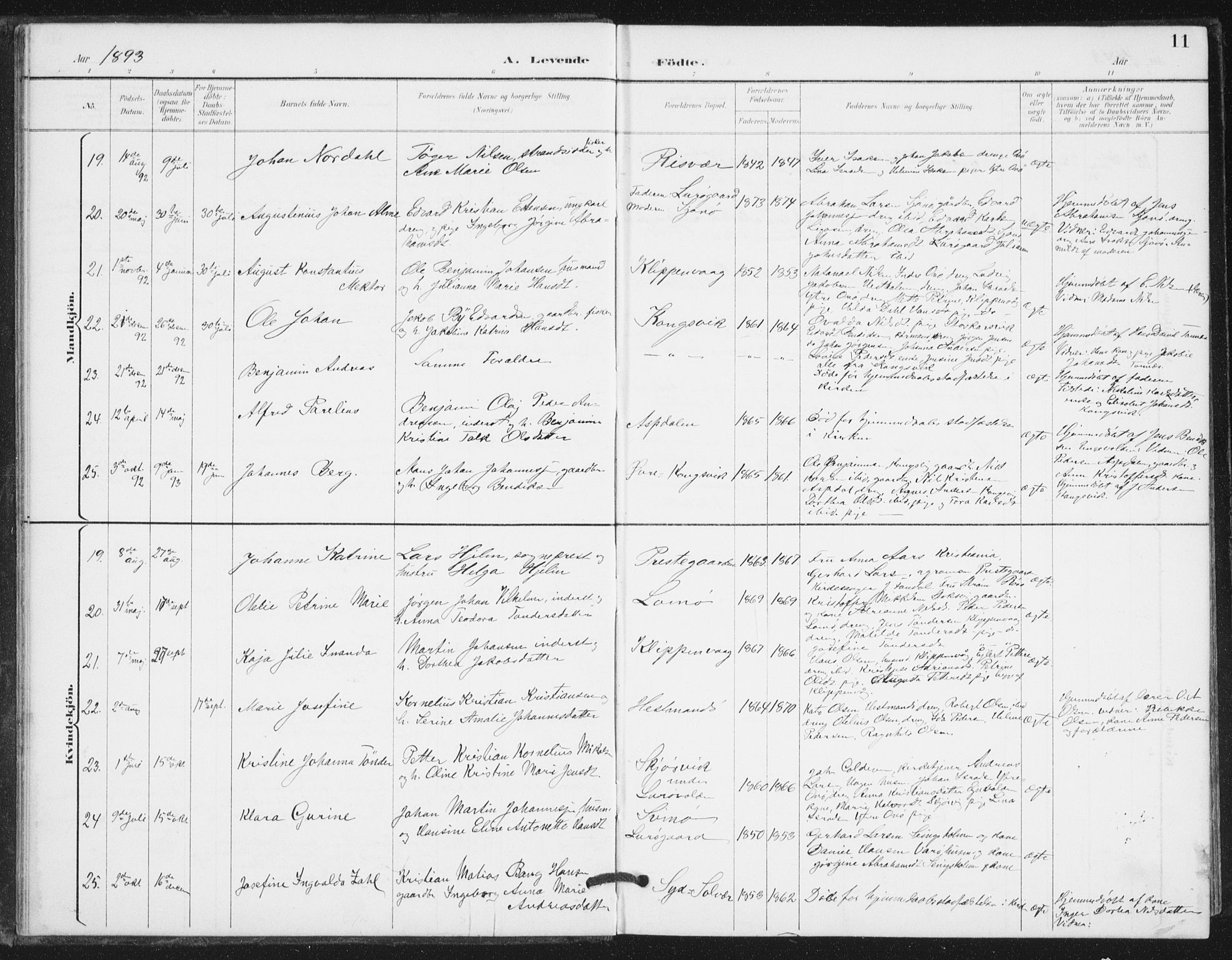 Ministerialprotokoller, klokkerbøker og fødselsregistre - Nordland, AV/SAT-A-1459/839/L0573: Parish register (copy) no. 839C03, 1892-1917, p. 11