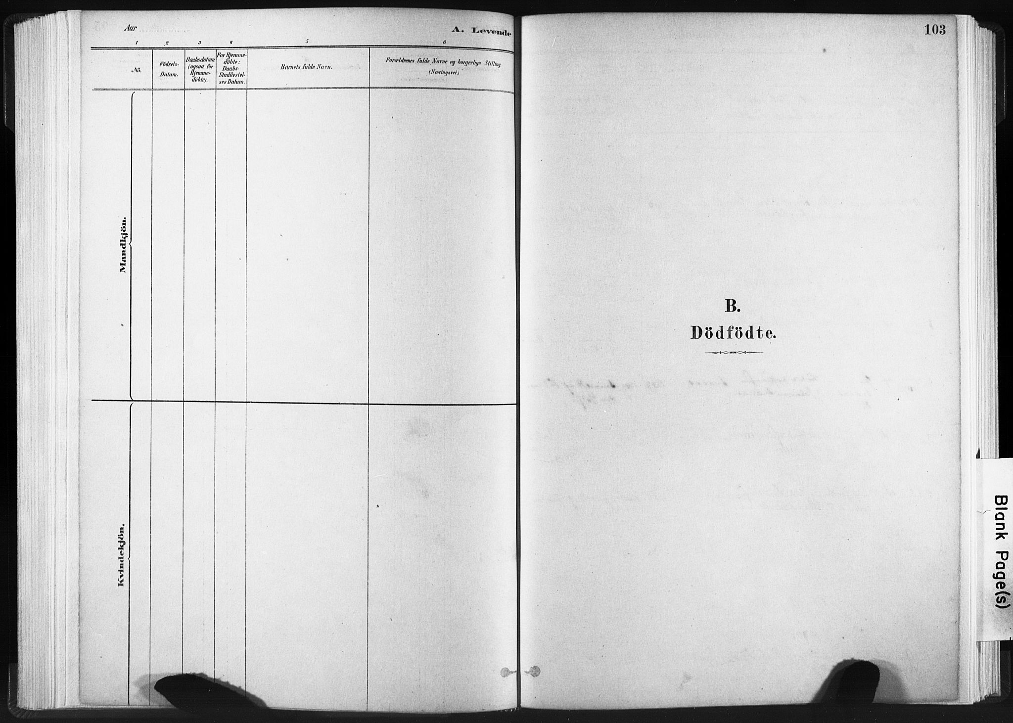 Ministerialprotokoller, klokkerbøker og fødselsregistre - Sør-Trøndelag, SAT/A-1456/665/L0773: Parish register (official) no. 665A08, 1879-1905, p. 103