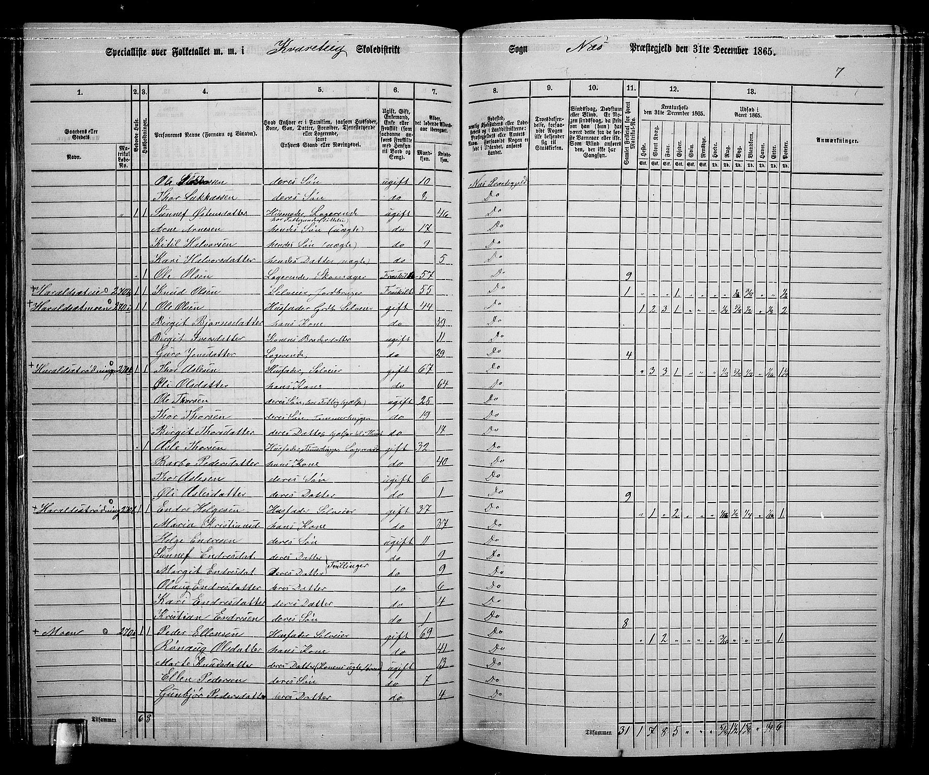 RA, 1865 census for Nes, 1865, p. 134