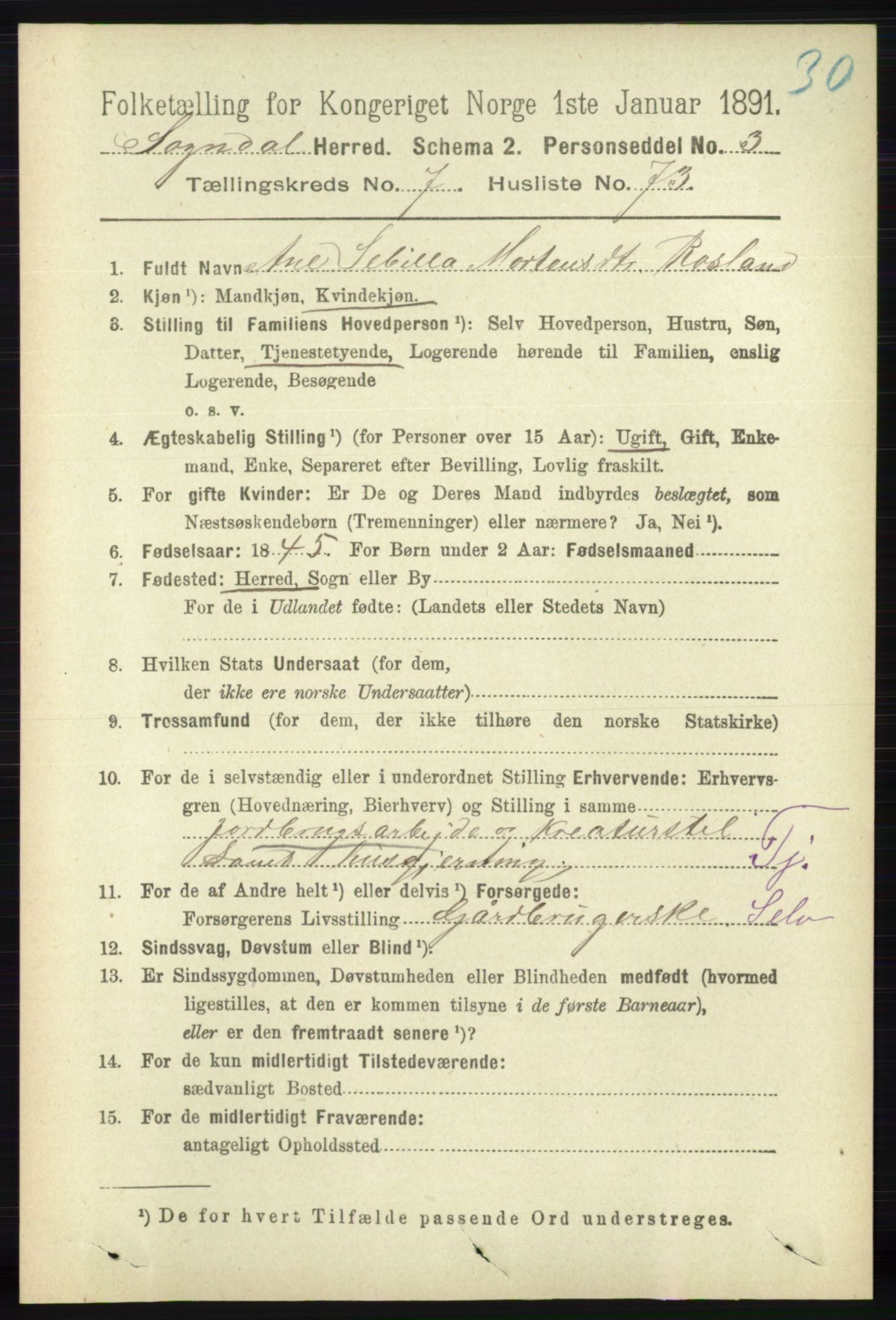 RA, 1891 census for 1111 Sokndal, 1891, p. 2581