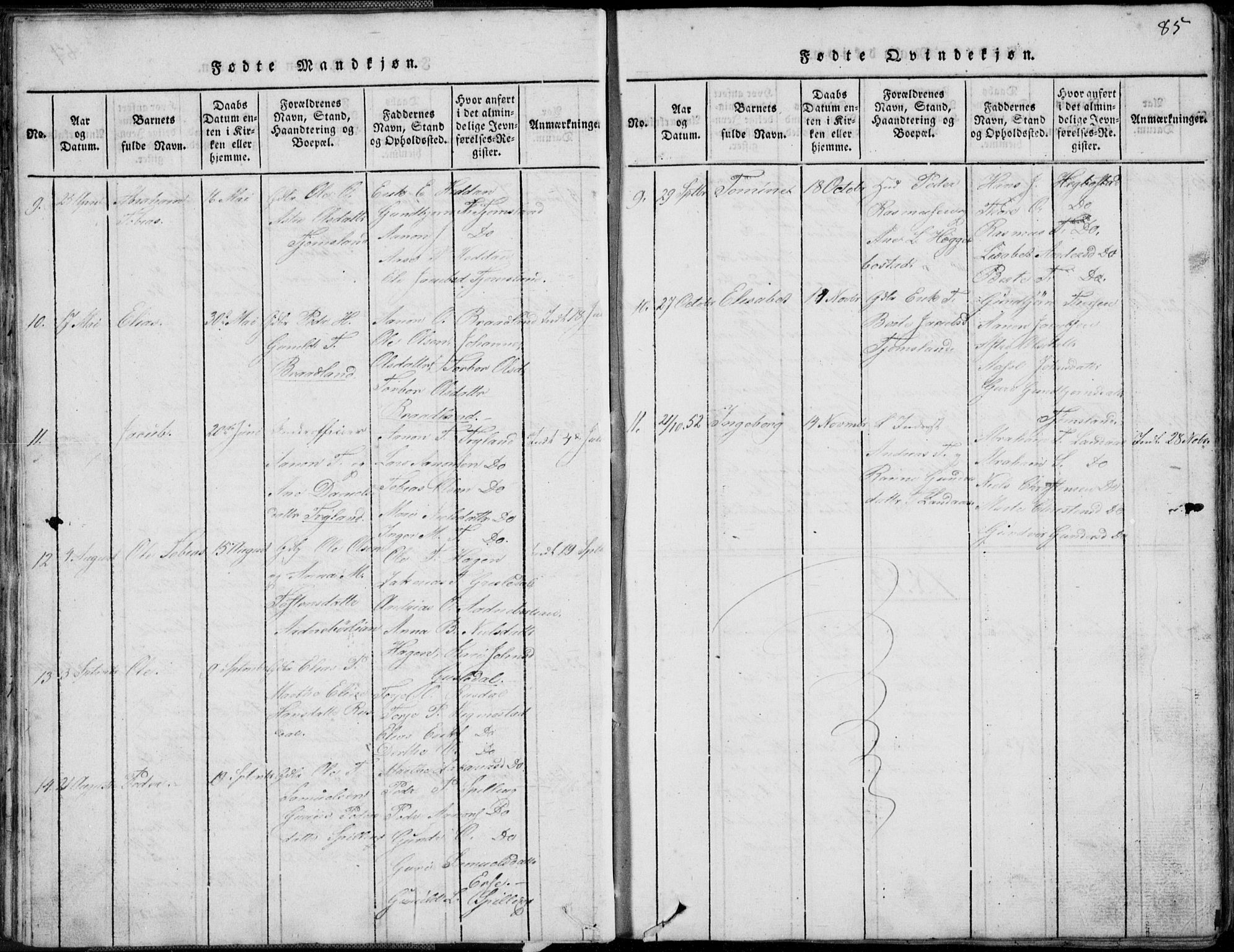 Nord-Audnedal sokneprestkontor, AV/SAK-1111-0032/F/Fb/Fbb/L0001: Parish register (copy) no. B 1, 1816-1858, p. 85