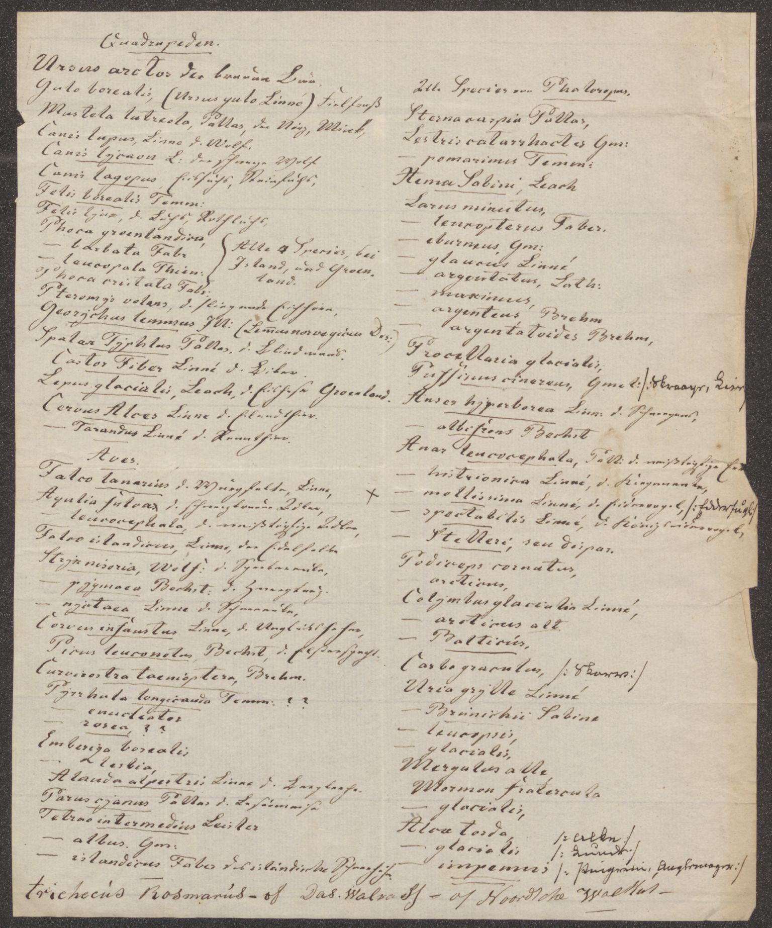 Bergens Museum, UMB/A007/D/Da/L0006/0002: Innkommende brev 1833 - 1834 / Innkommende brev 1833, 1833