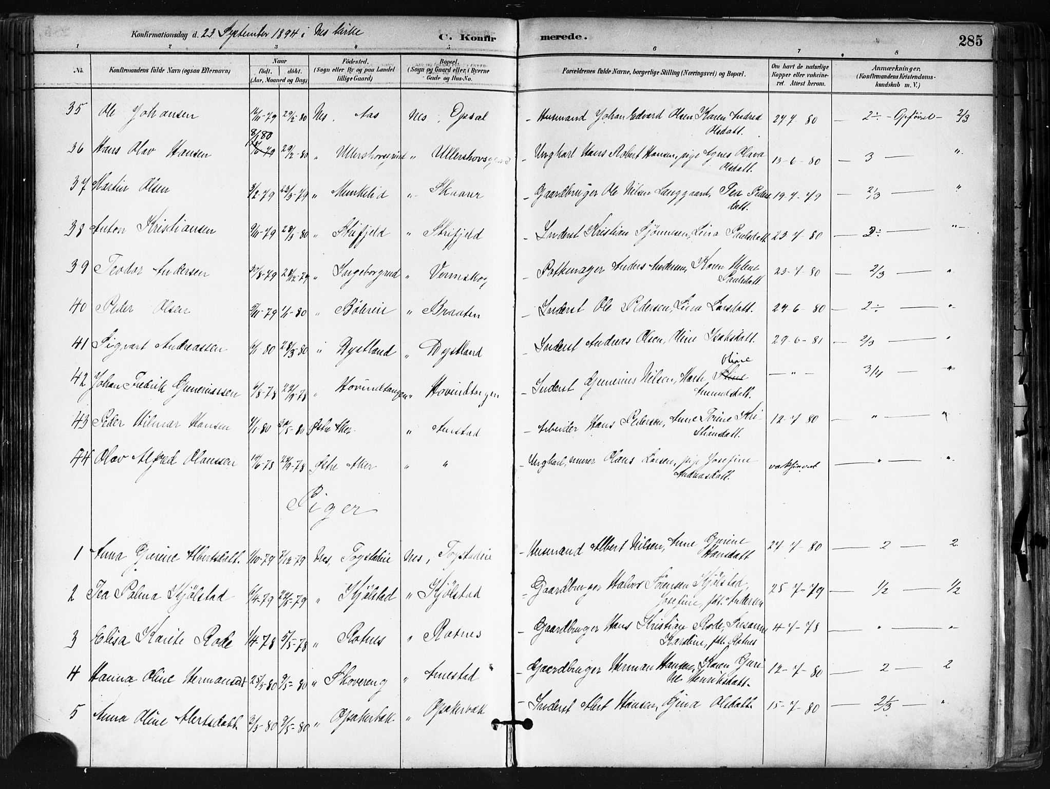 Nes prestekontor Kirkebøker, AV/SAO-A-10410/F/Fa/L0010: Parish register (official) no. I 10, 1883-1898, p. 285