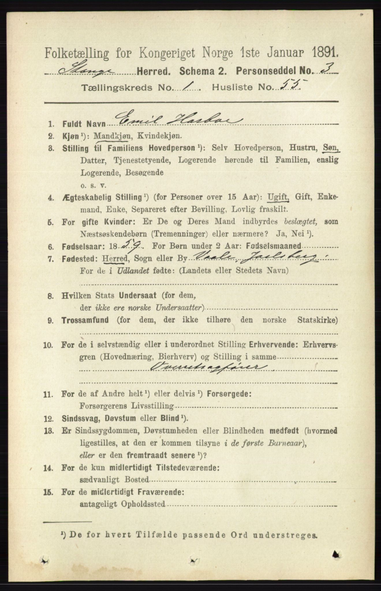 RA, 1891 census for 0417 Stange, 1891, p. 534