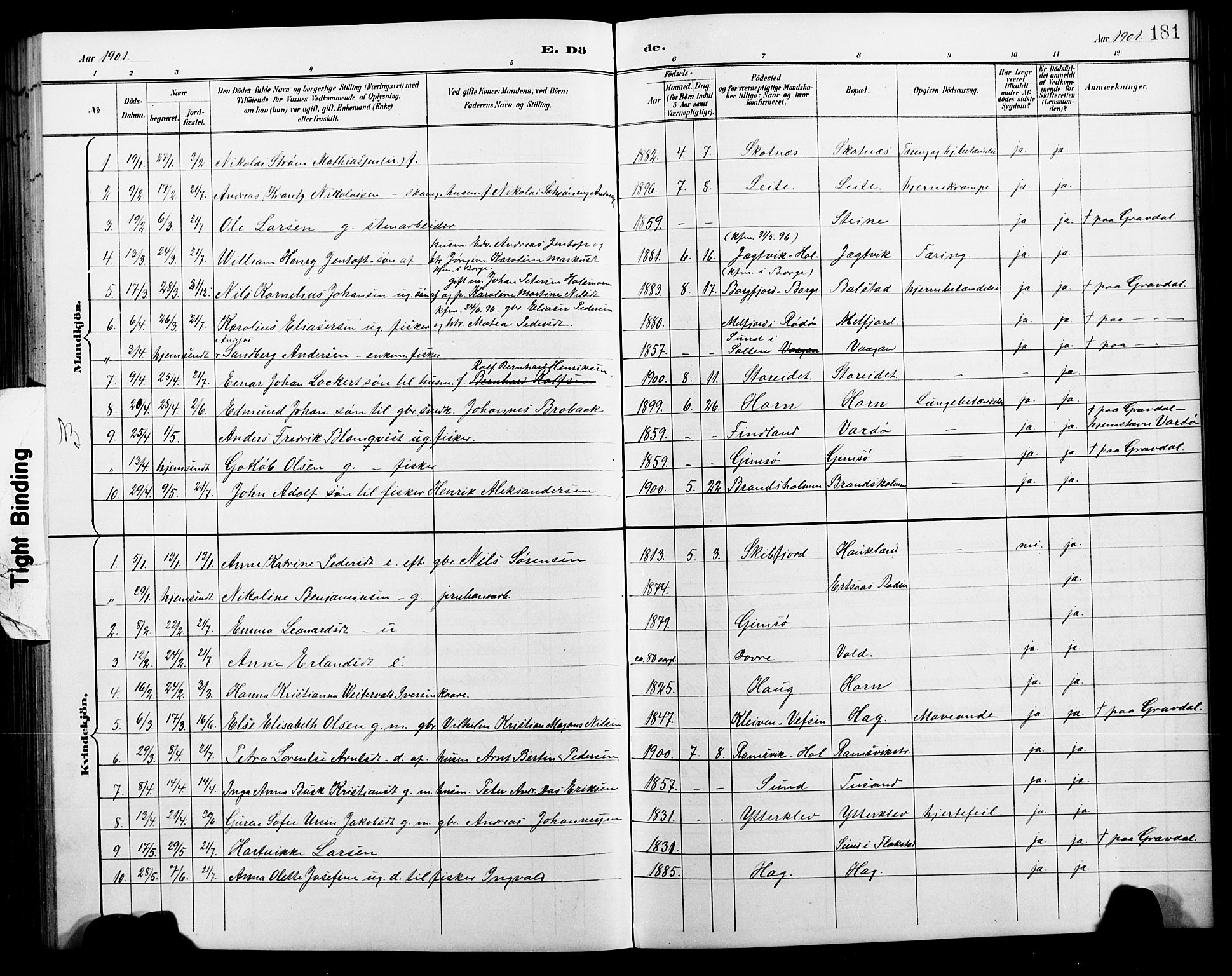 Ministerialprotokoller, klokkerbøker og fødselsregistre - Nordland, AV/SAT-A-1459/881/L1168: Parish register (copy) no. 881C05, 1900-1911, p. 181