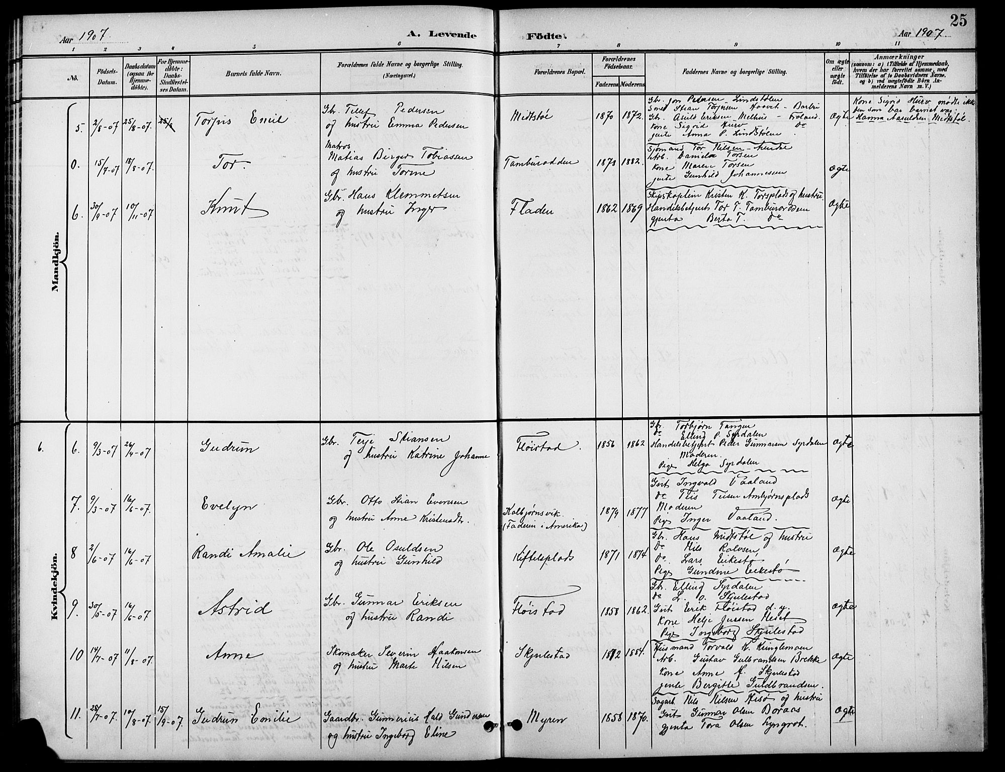 Austre Moland sokneprestkontor, AV/SAK-1111-0001/F/Fb/Fba/L0004: Parish register (copy) no. B 4a, 1897-1913, p. 25